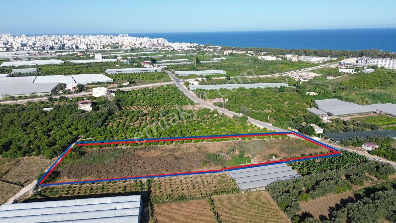 8,238 M2 İmar Planı İçerisinde Tarla...