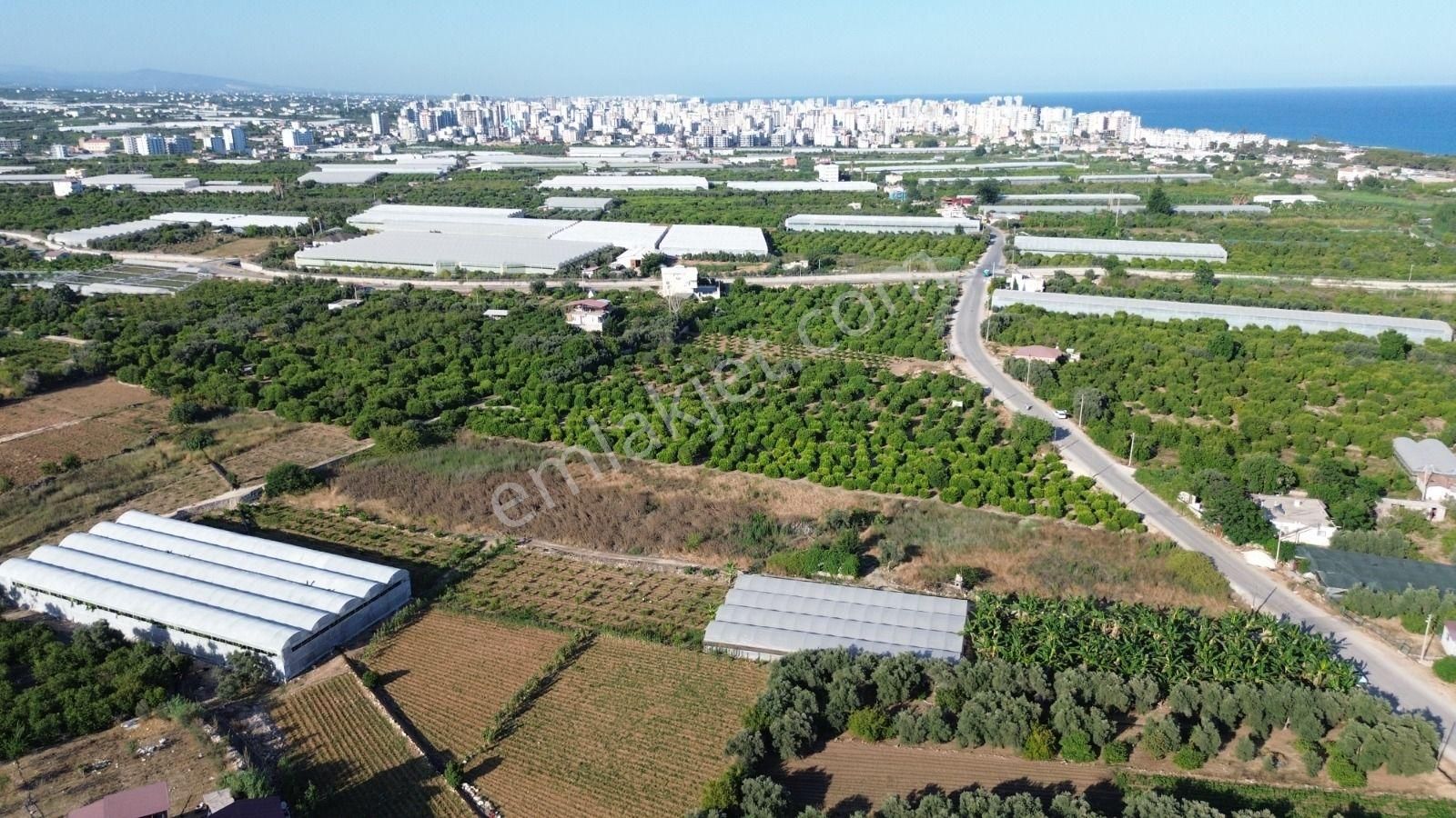 8,238 M2 İmar Planı İçerisinde Tarla... - Görsel 10