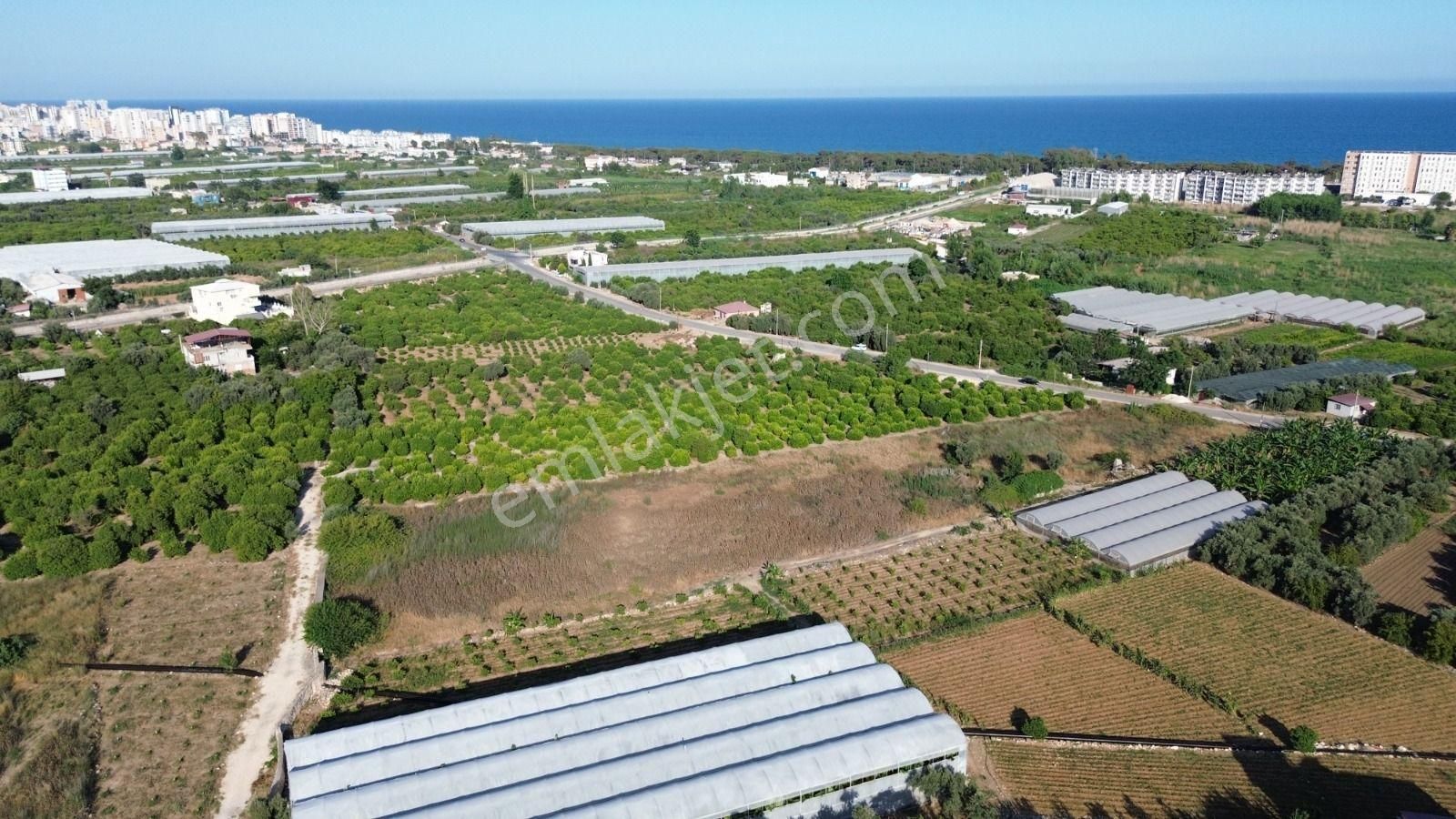 8,238 M2 İmar Planı İçerisinde Tarla... - Görsel 13