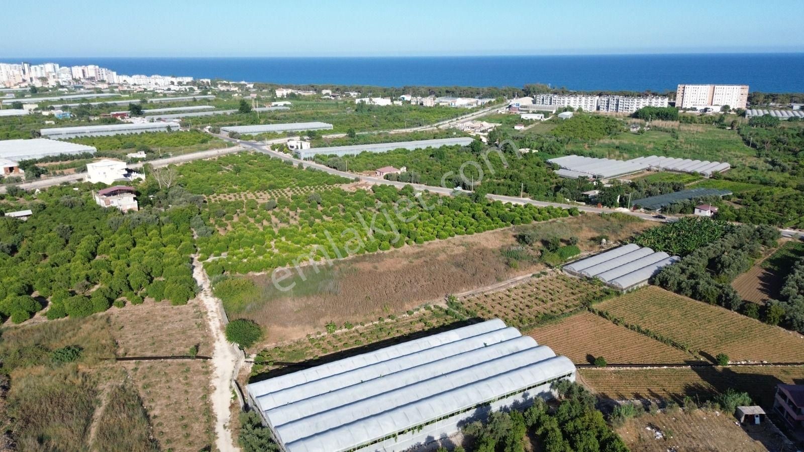 8,238 M2 İmar Planı İçerisinde Tarla... - Görsel 8