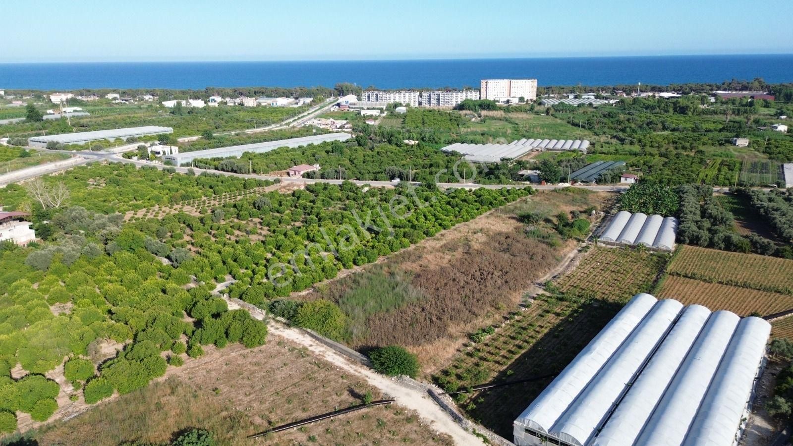 8,238 M2 İmar Planı İçerisinde Tarla... - Görsel 22