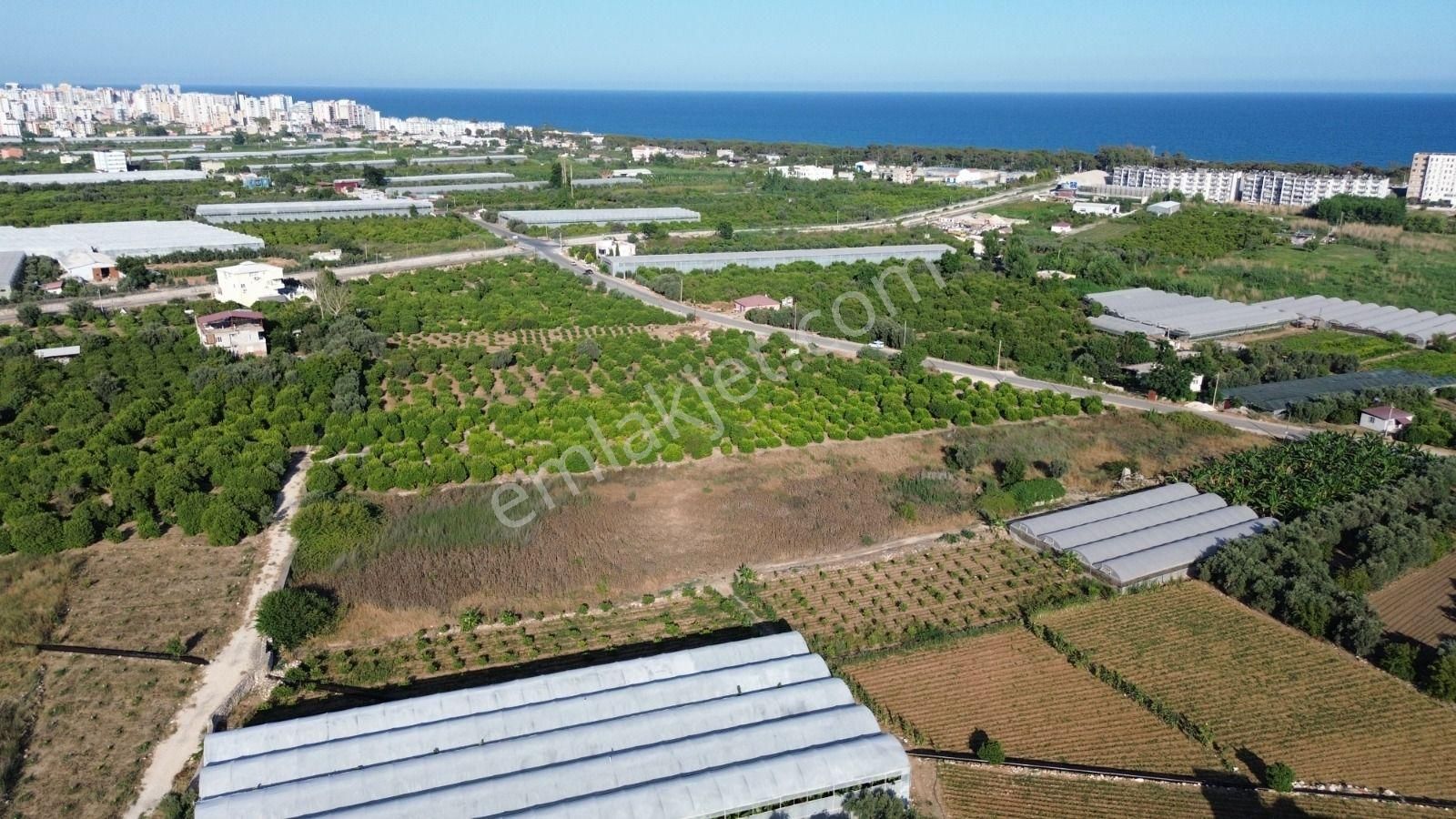 8,238 M2 İmar Planı İçerisinde Tarla... - Görsel 4