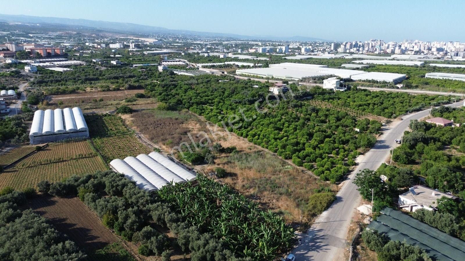 8,238 M2 İmar Planı İçerisinde Tarla... - Görsel 3