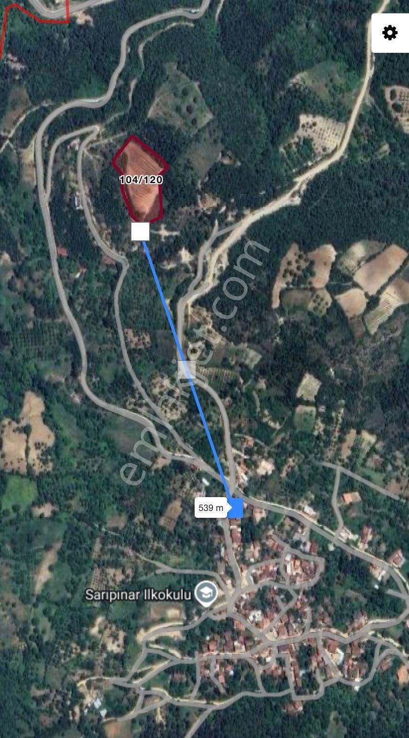 Roma ‘dan Sarıpınar ‘da Satılık Armut Bahçesi - Görsel 2