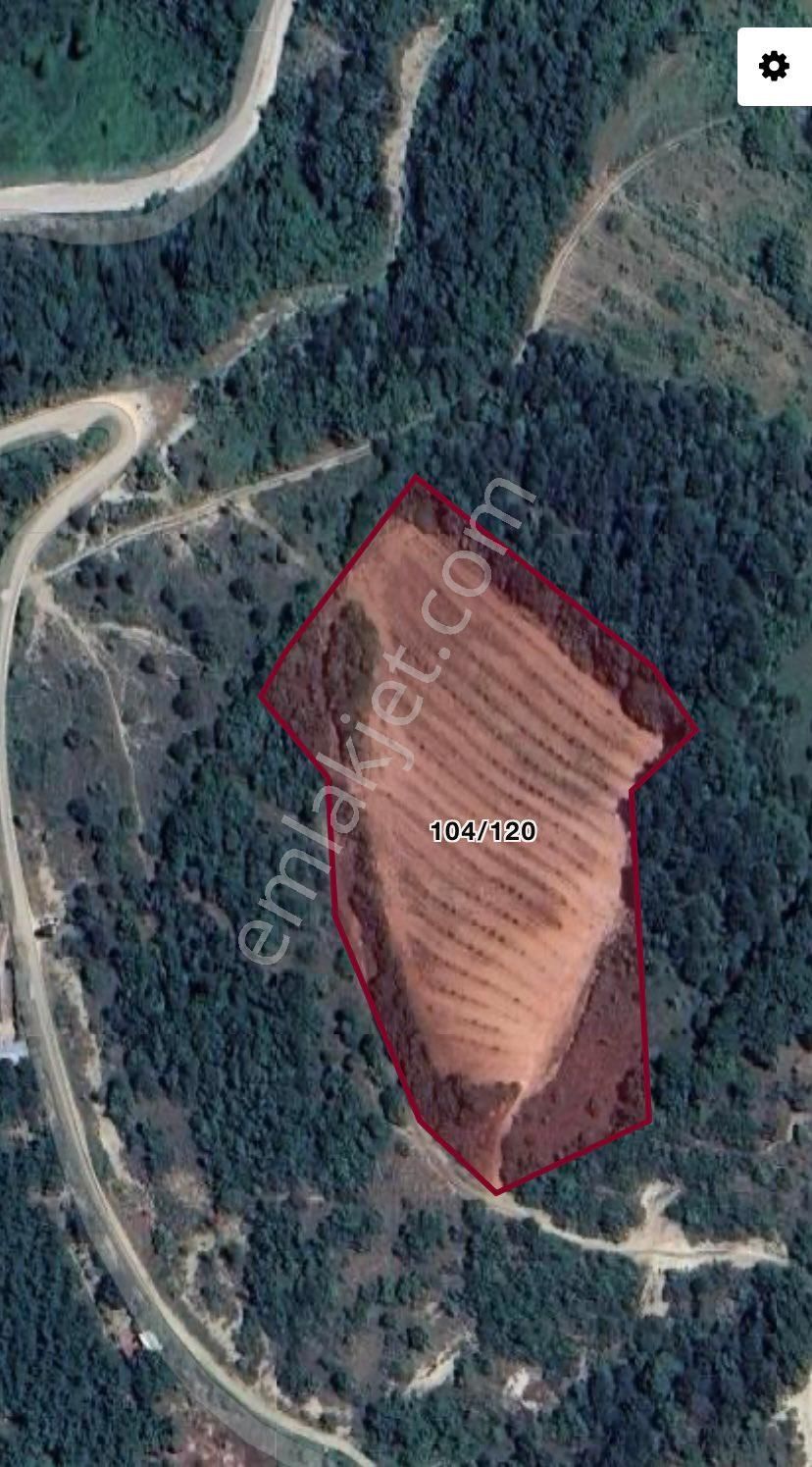 Roma ‘dan Sarıpınar ‘da Satılık Armut Bahçesi