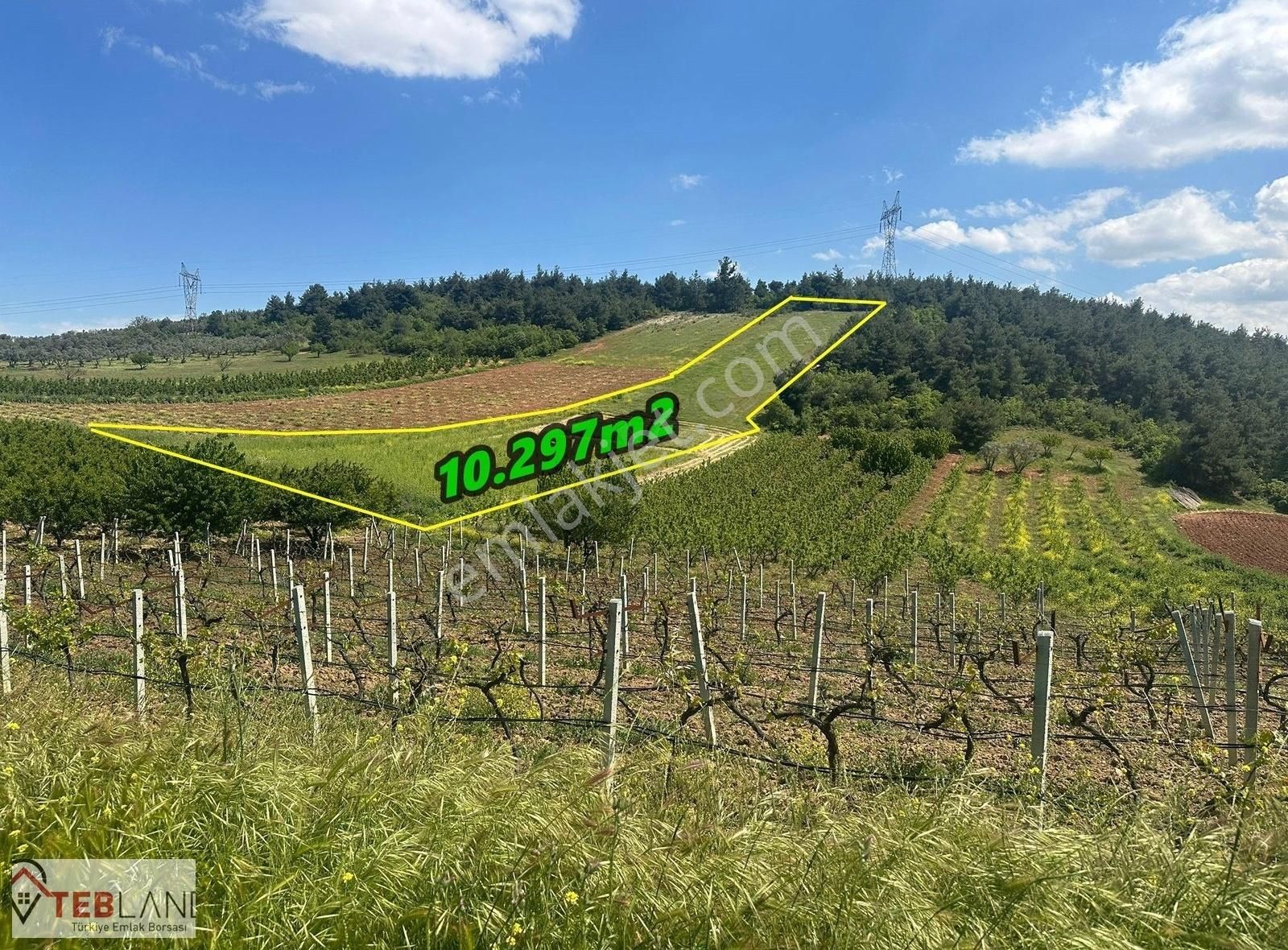 Osmaneli Ericek Köyünde 10.297m2 Arsa