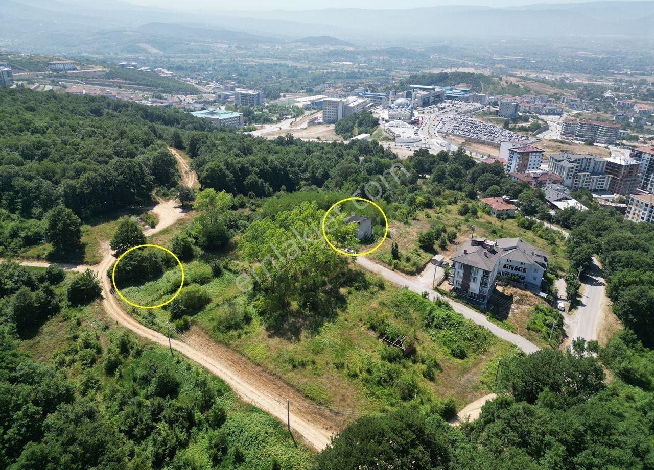 Konuralp'de Üniversiteye Yakın 420 M2 Satılık Arsalar