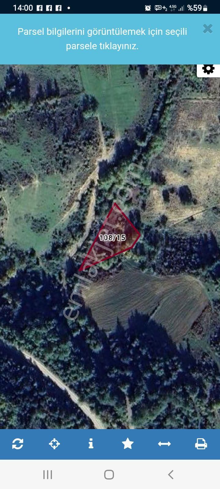 Sinop Gerze Sarnıç Köyünde Atalay Emlak Tan Satılık Tarla