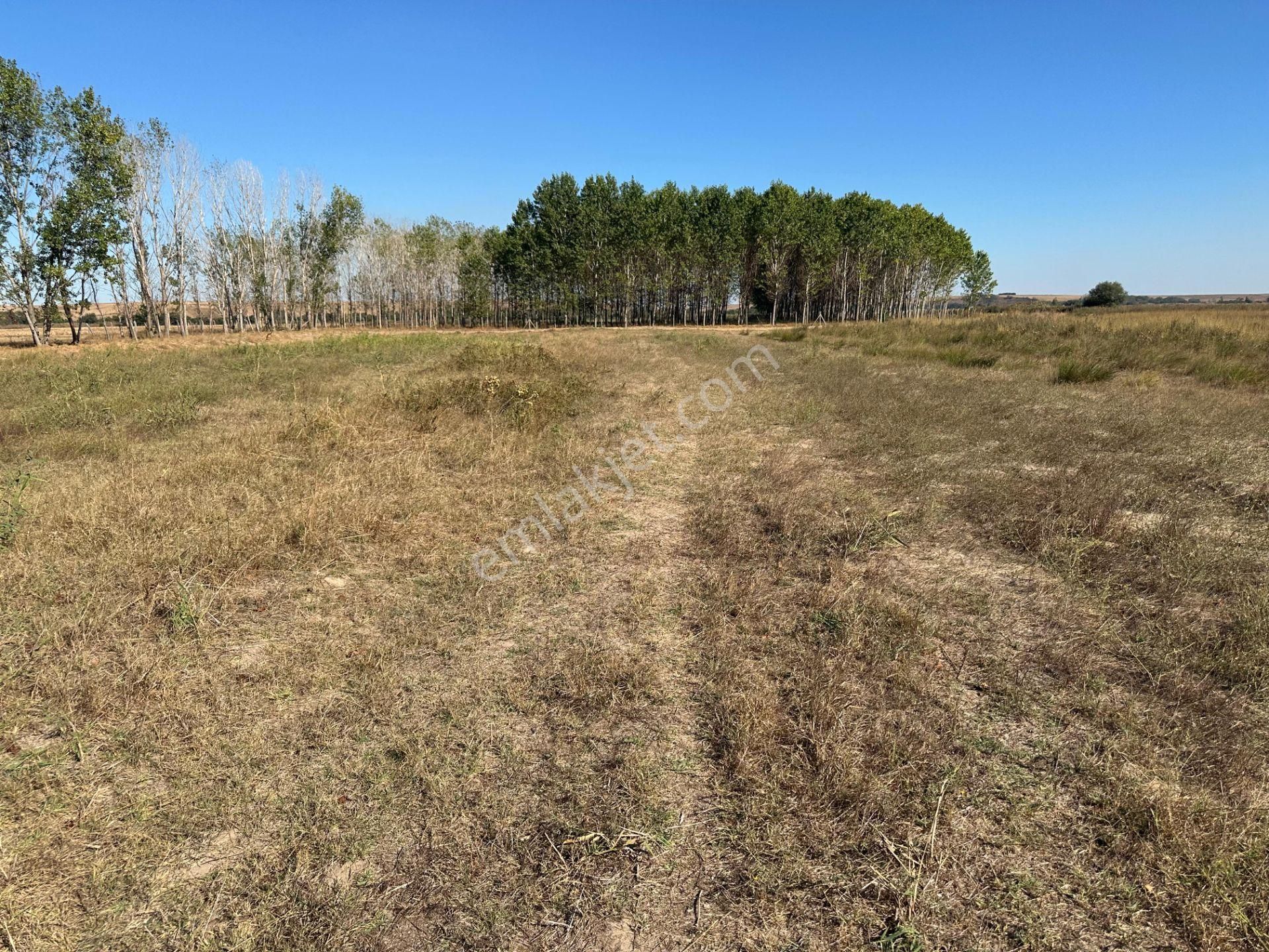 Ovacık Köyünde 1.560 M2 Müstakil Tapulu Fırsat Arazi
