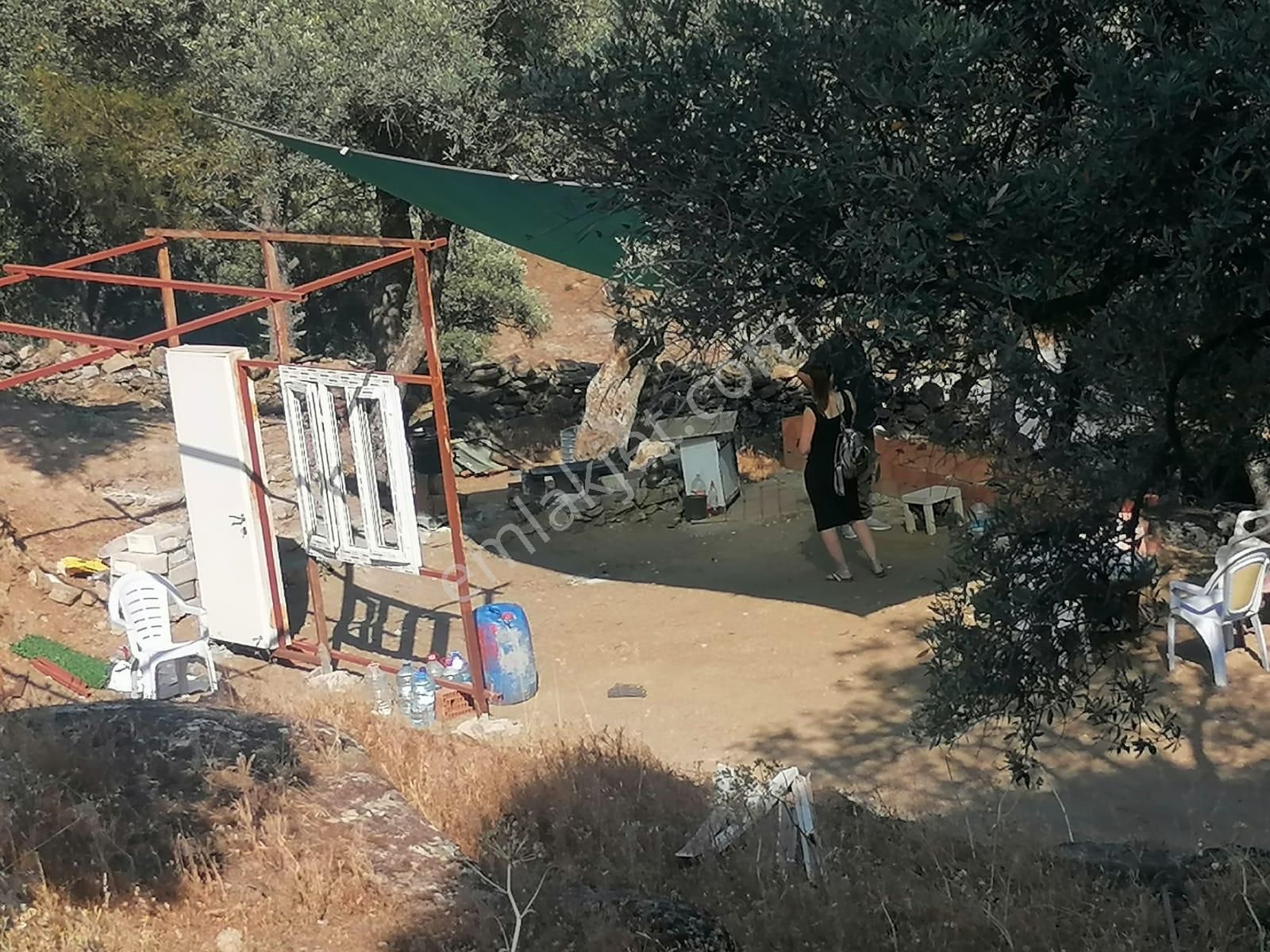 Aslanyaylası Köyü Sökede Satılık Zeytinlik - Görsel 28
