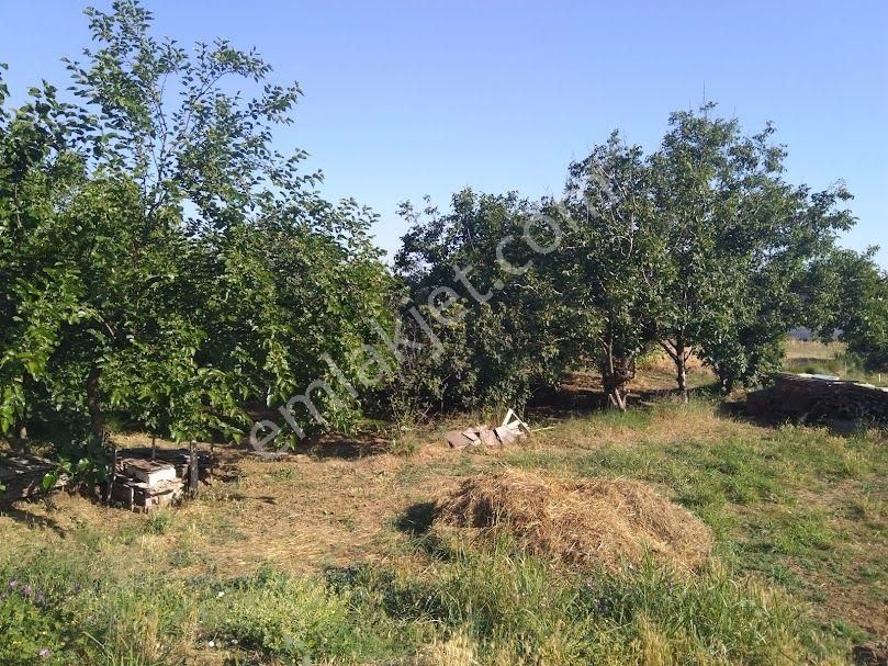 Mudanya Yola Cephe, Denize-merkeze Yakın, Resmi Tapu Satılık Tarla
