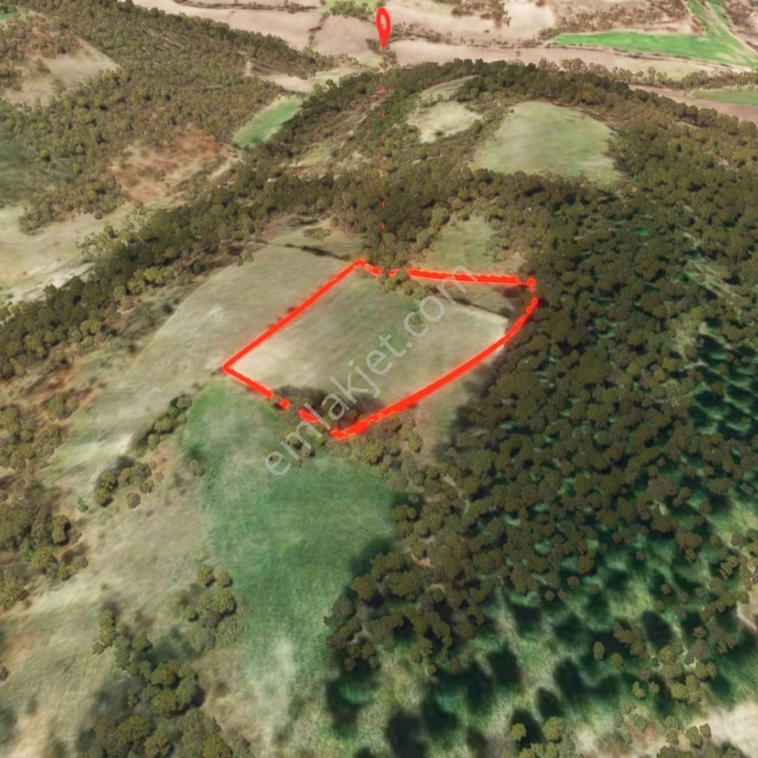 Susurluk'ta Satılık 10.750 M² Yatırıma Uygun Tarla