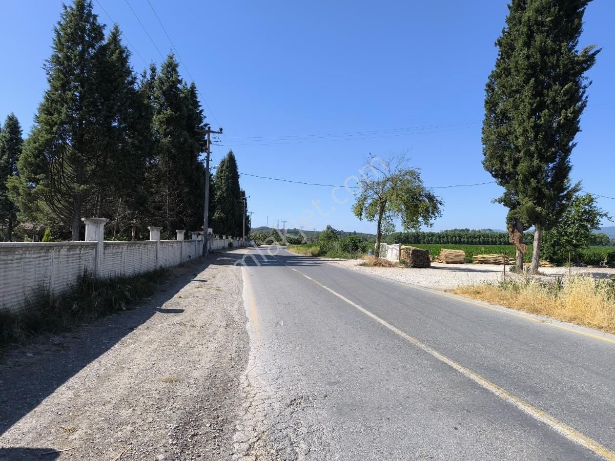 Hendek / Tuzak Köyü’nde Yatırımlık Fırsat Tarla