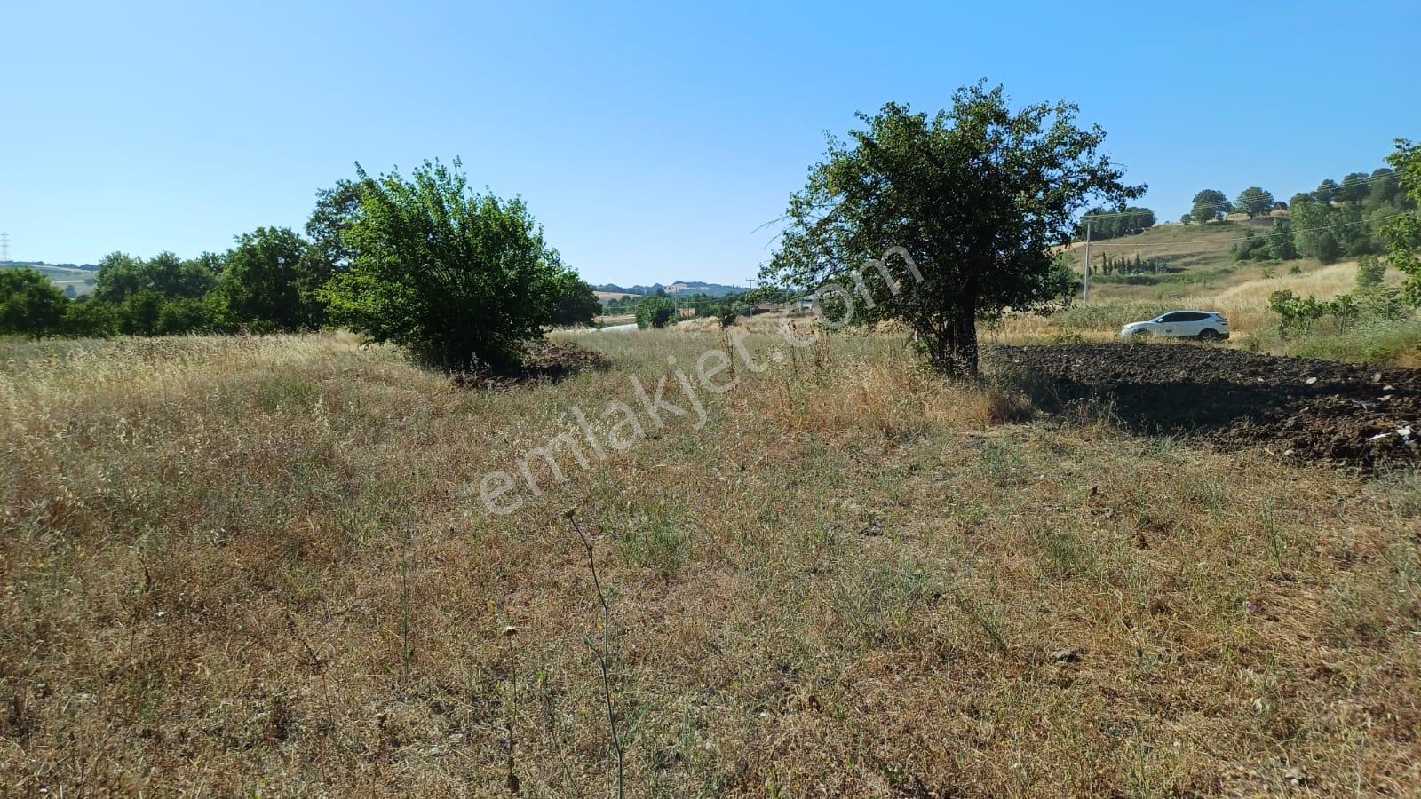 Kocaeli Karamürsel Çamdibi Satılık 2293 M2 Tarla - Görsel 21