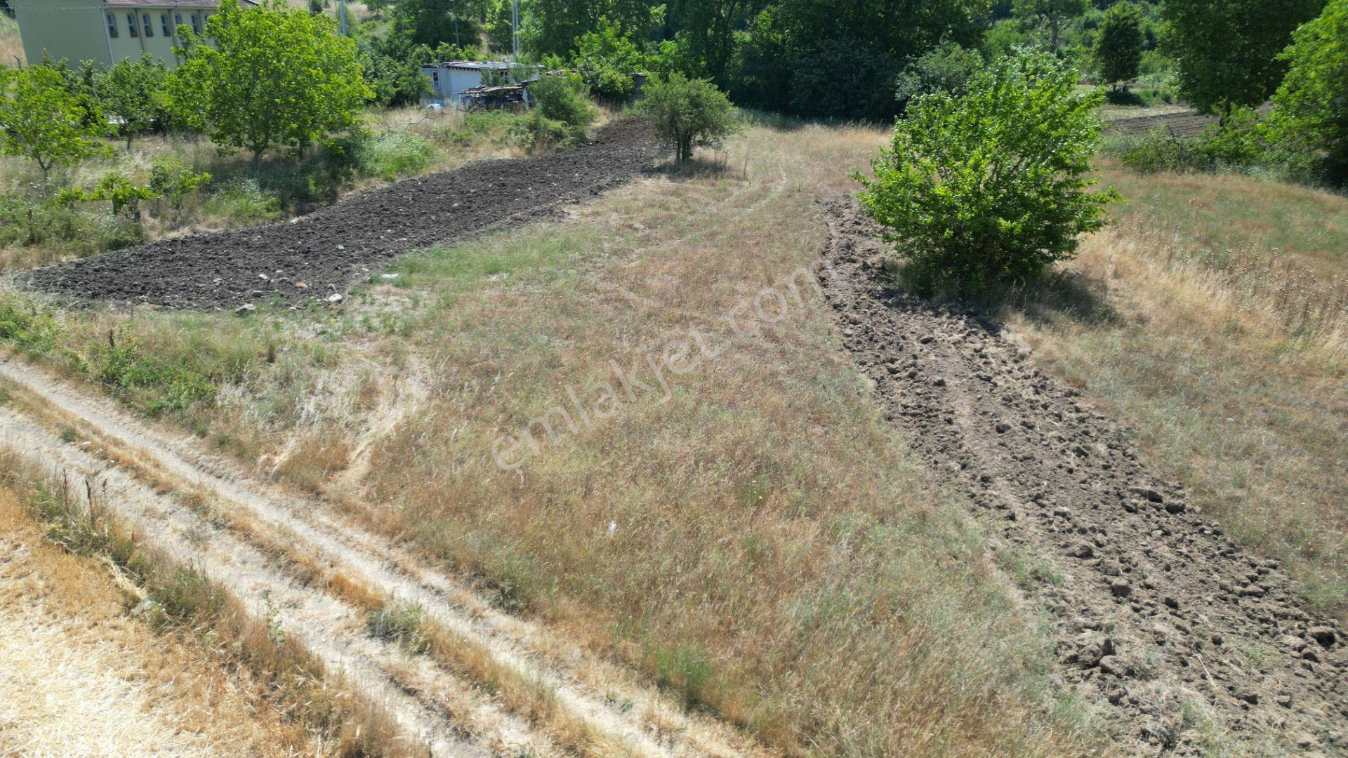 Kocaeli Karamürsel Çamdibi Satılık 2293 M2 Tarla - Görsel 10