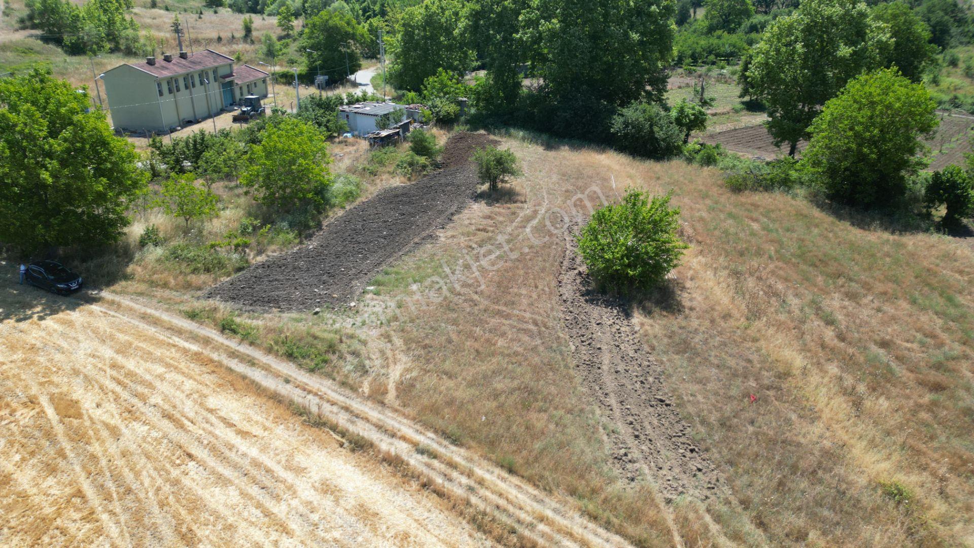Kocaeli Karamürsel Çamdibi Satılık 2293 M2 Tarla - Görsel 9