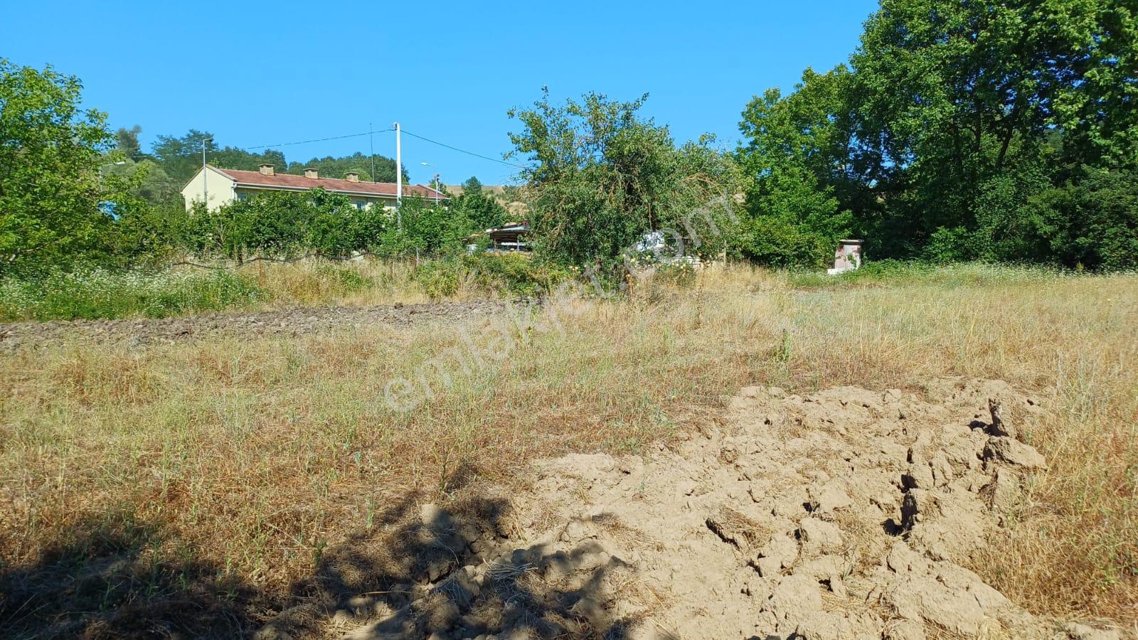 Kocaeli Karamürsel Çamdibi Satılık 2293 M2 Tarla - Görsel 17