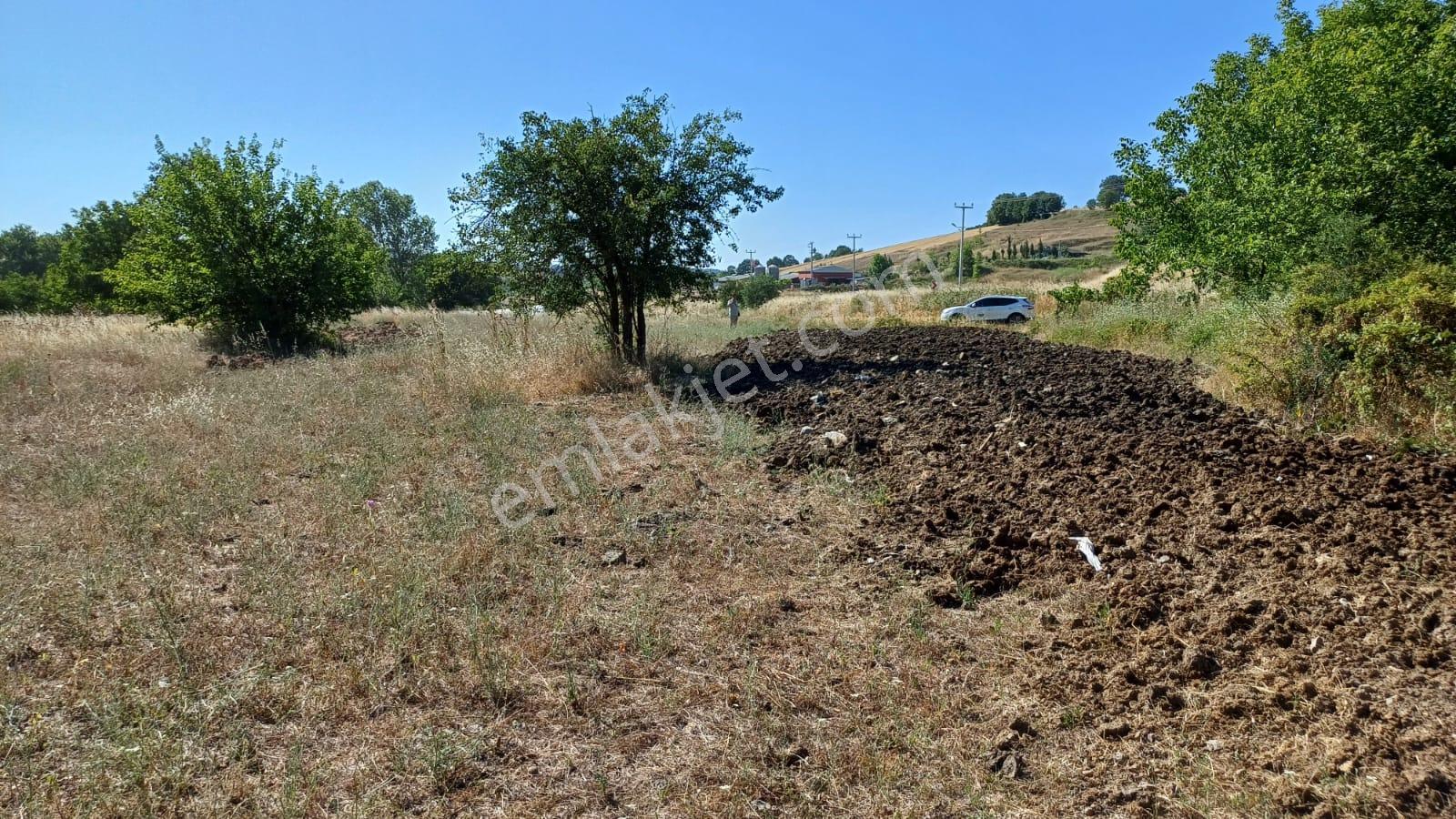 Kocaeli Karamürsel Çamdibi Satılık 2293 M2 Tarla - Görsel 18
