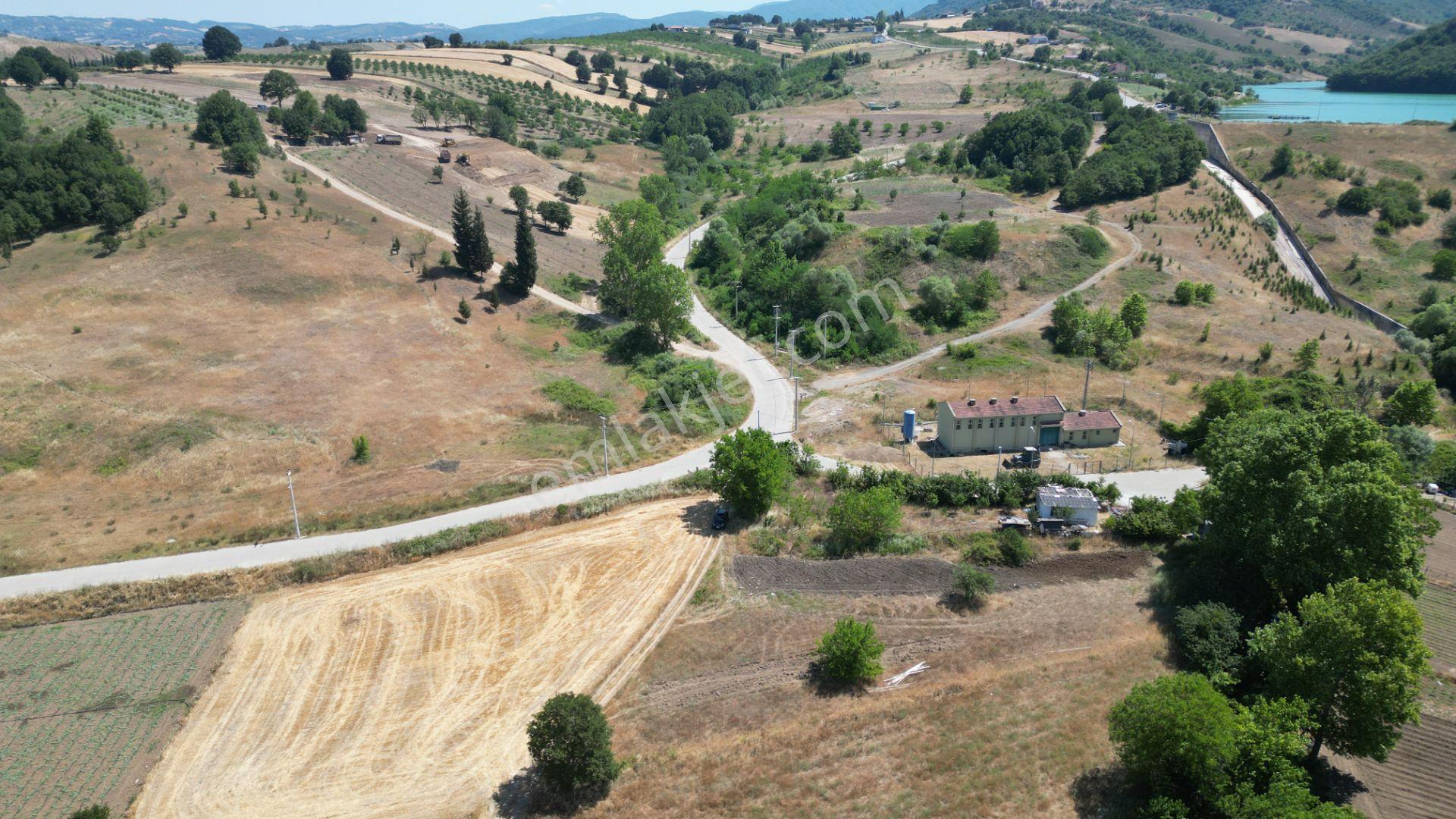 Kocaeli Karamürsel Çamdibi Satılık 2293 M2 Tarla - Görsel 4