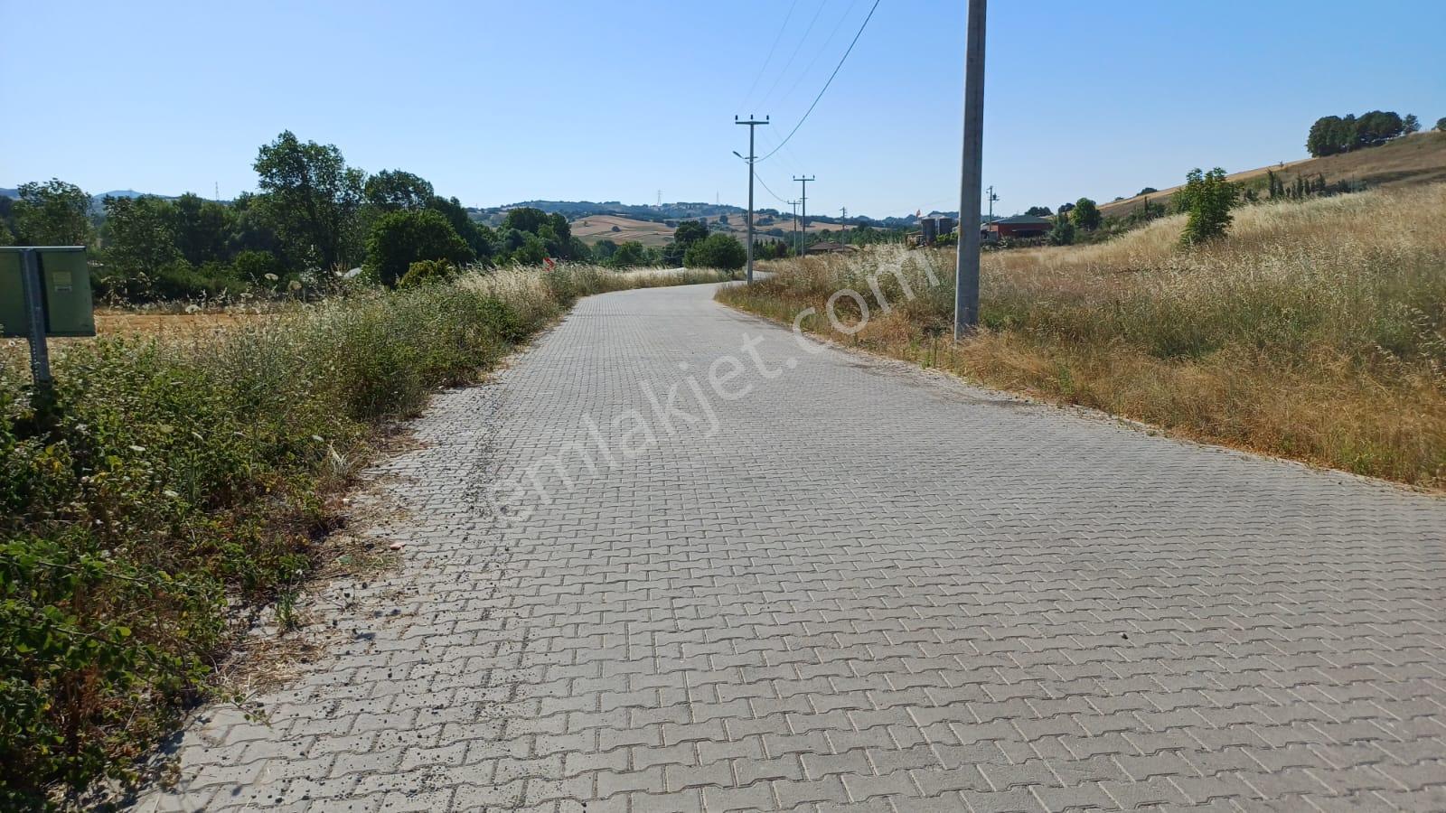 Kocaeli Karamürsel Çamdibi Satılık 2293 M2 Tarla - Görsel 20