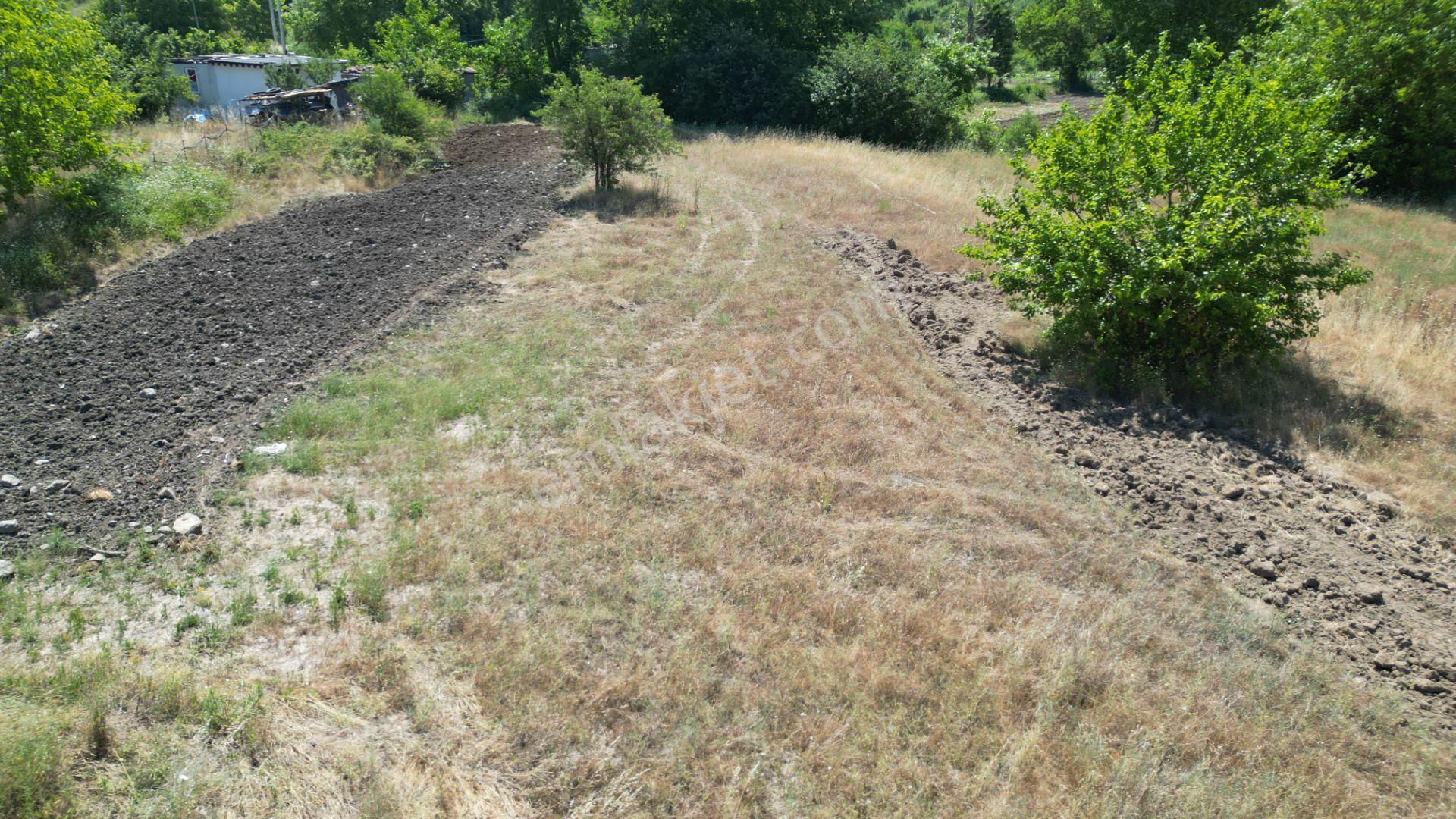 Kocaeli Karamürsel Çamdibi Satılık 2293 M2 Tarla - Görsel 12