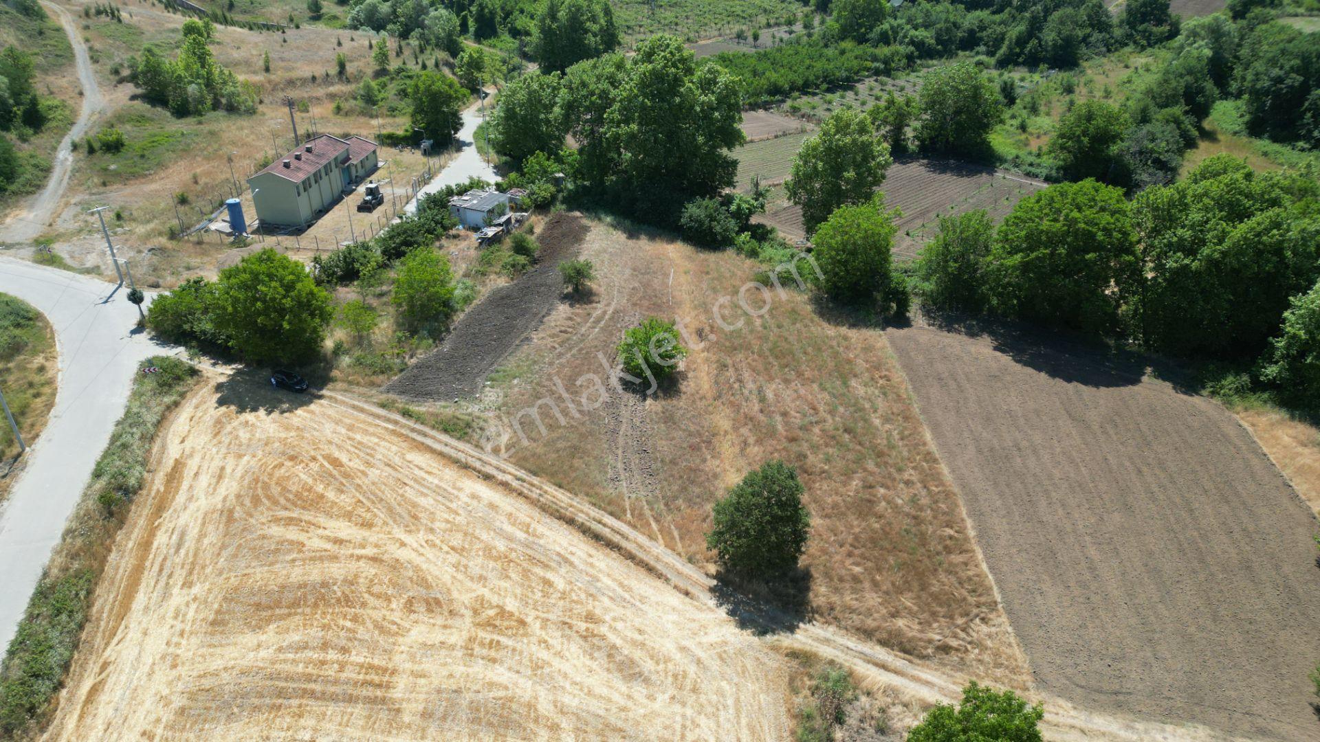 Kocaeli Karamürsel Çamdibi Satılık 2293 M2 Tarla - Görsel 3