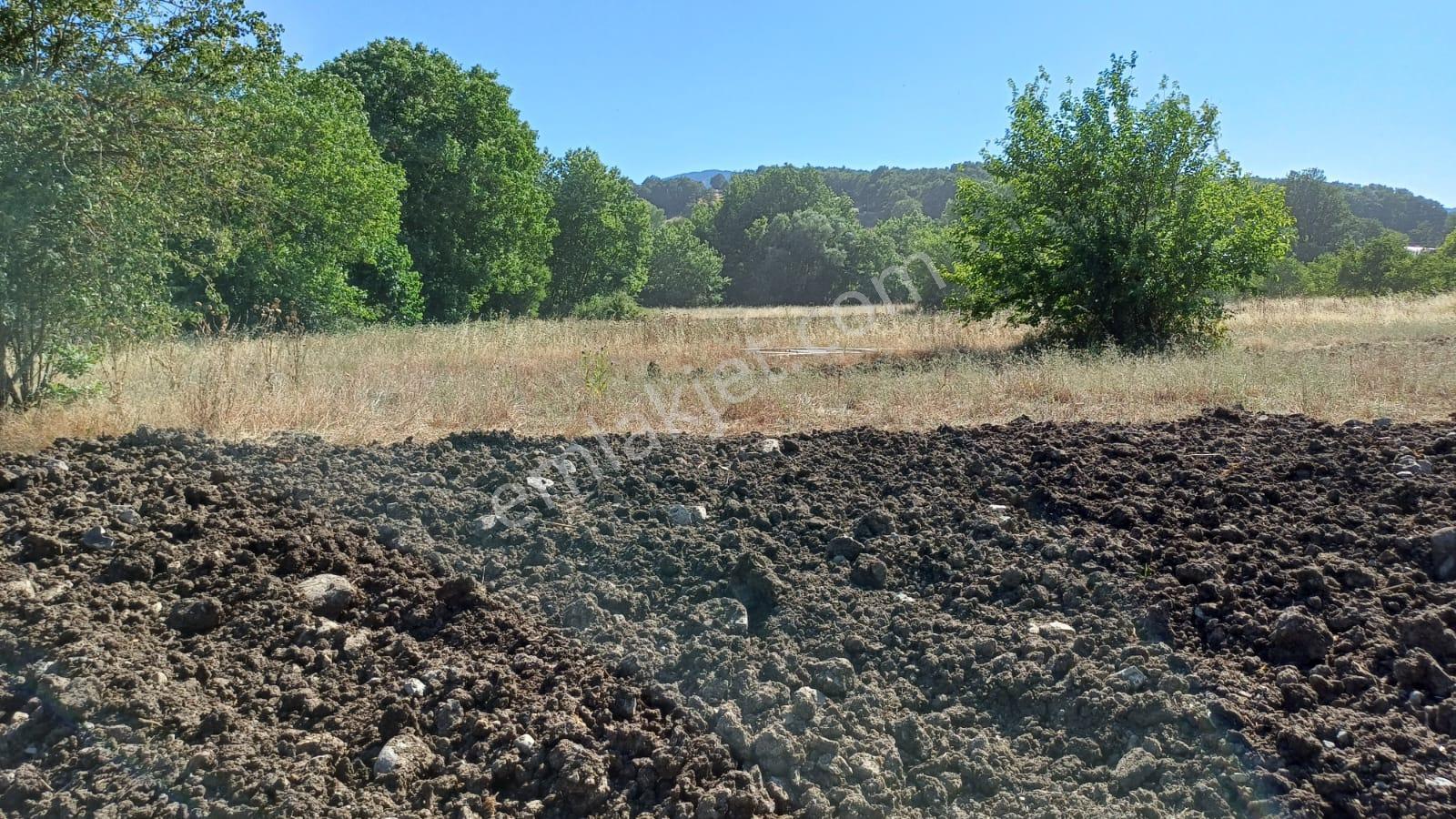 Kocaeli Karamürsel Çamdibi Satılık 2293 M2 Tarla - Görsel 23