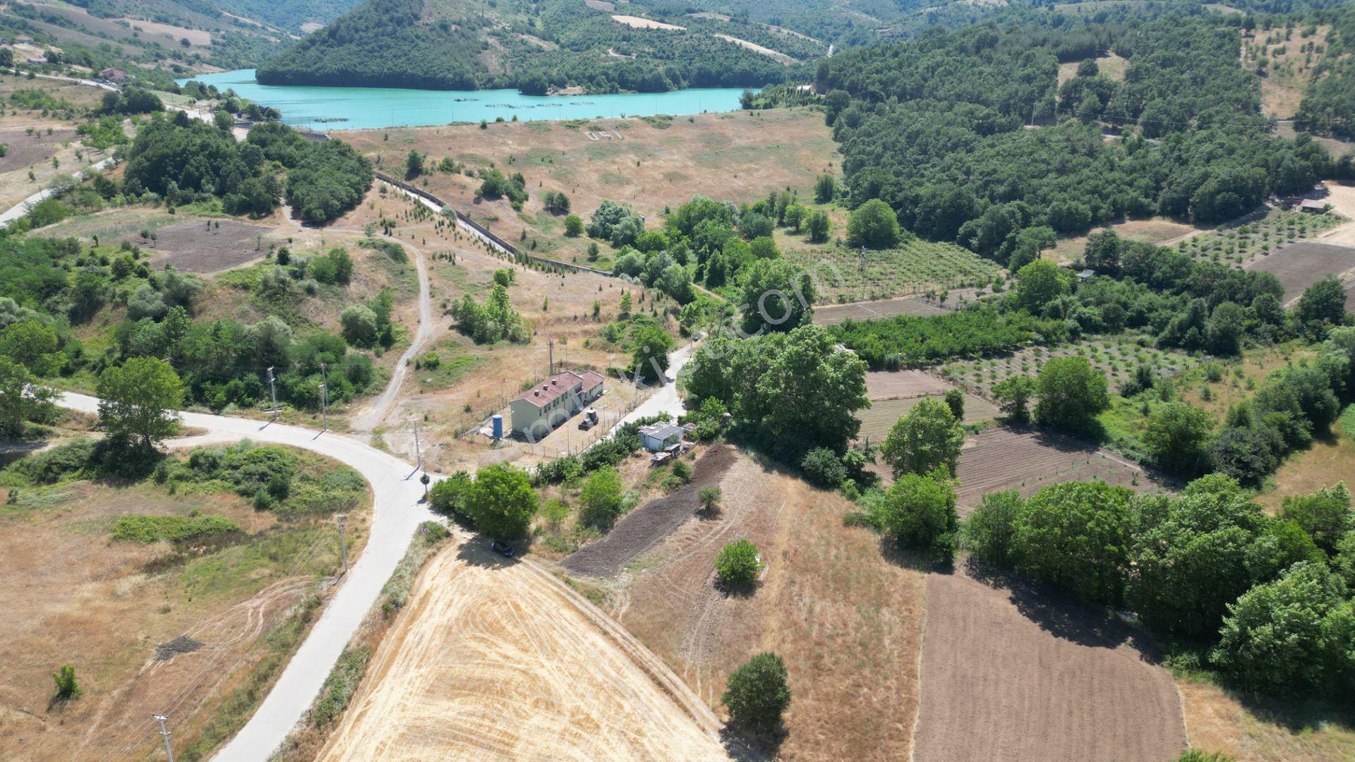 Kocaeli Karamürsel Çamdibi Satılık 2293 M2 Tarla - Görsel 5