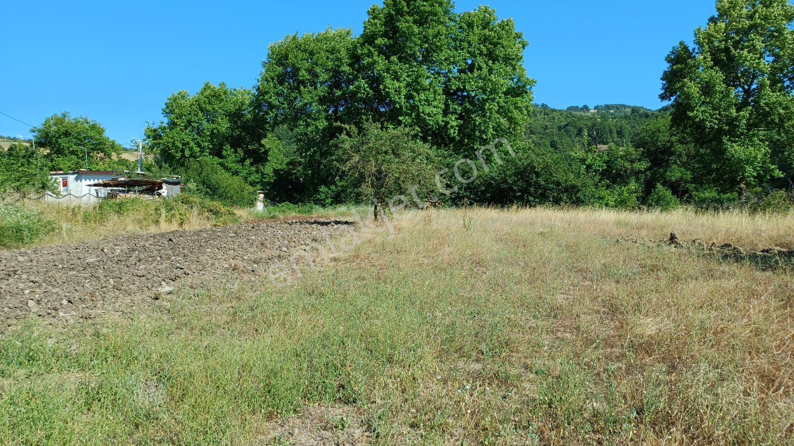 Kocaeli Karamürsel Çamdibi Satılık 2293 M2 Tarla - Görsel 15