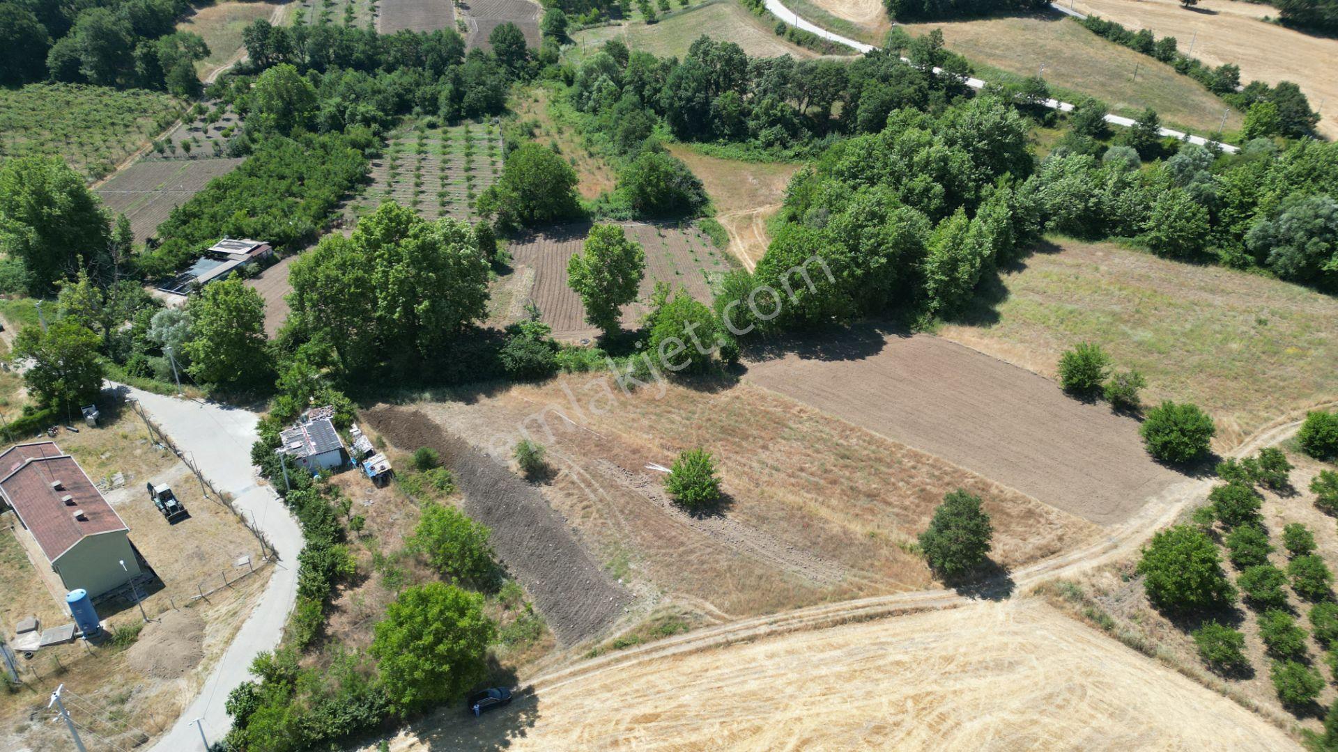 Kocaeli Karamürsel Çamdibi Satılık 2293 M2 Tarla - Görsel 7