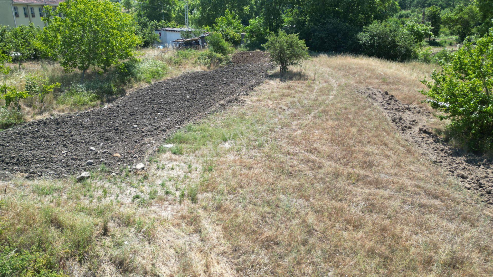 Kocaeli Karamürsel Çamdibi Satılık 2293 M2 Tarla - Görsel 25