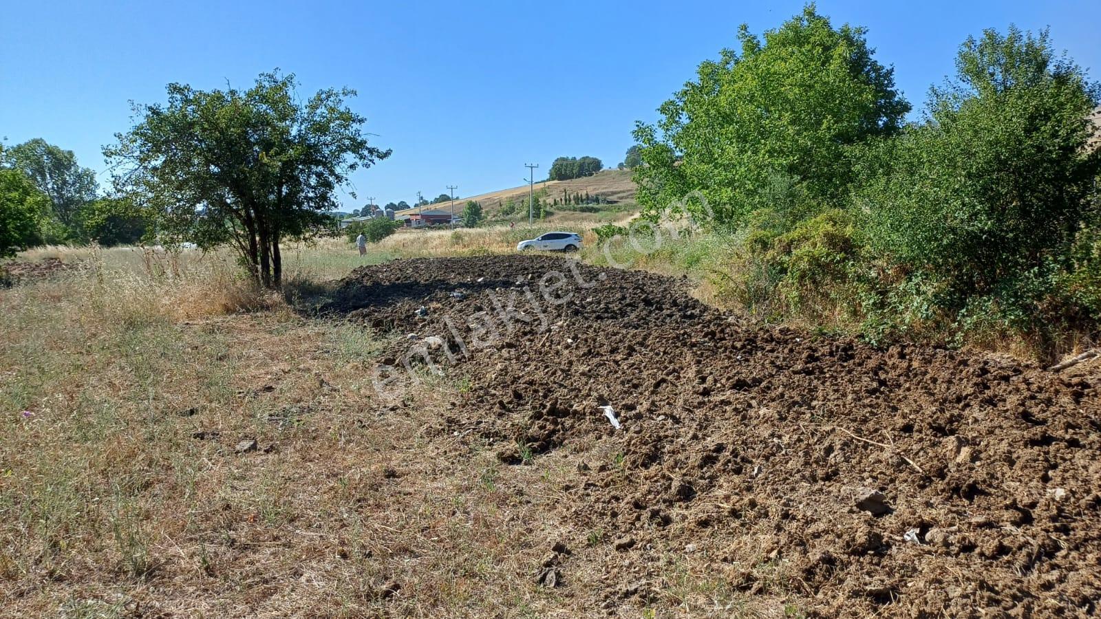 Kocaeli Karamürsel Çamdibi Satılık 2293 M2 Tarla - Görsel 19