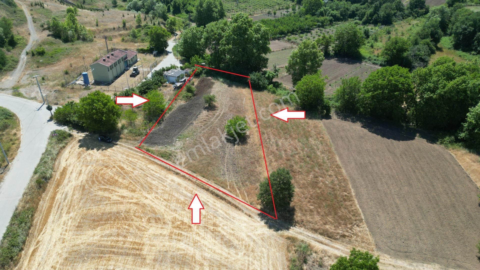 Kocaeli Karamürsel Çamdibi Satılık 2293 M2 Tarla