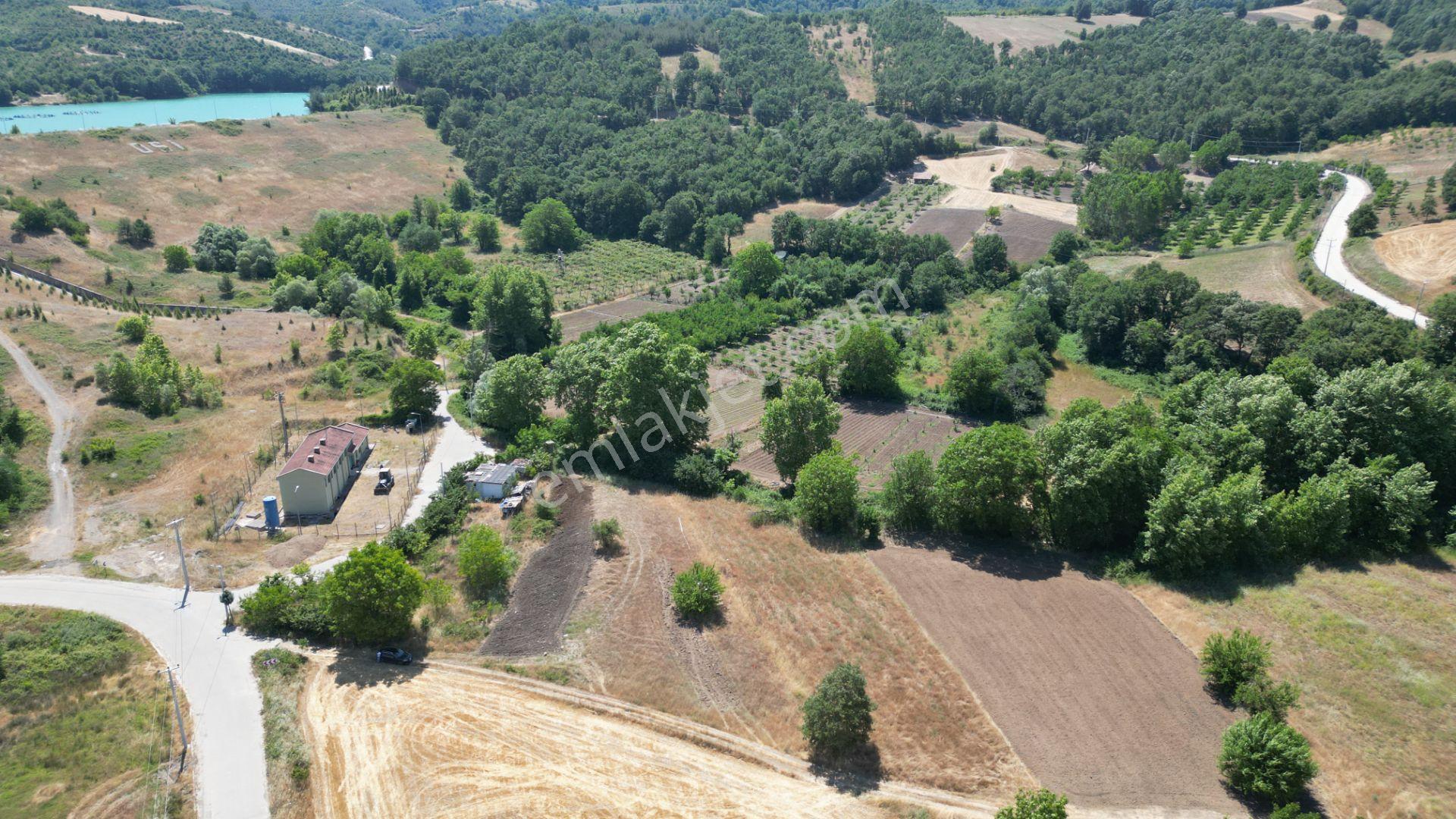 Kocaeli Karamürsel Çamdibi Satılık 2293 M2 Tarla - Görsel 6