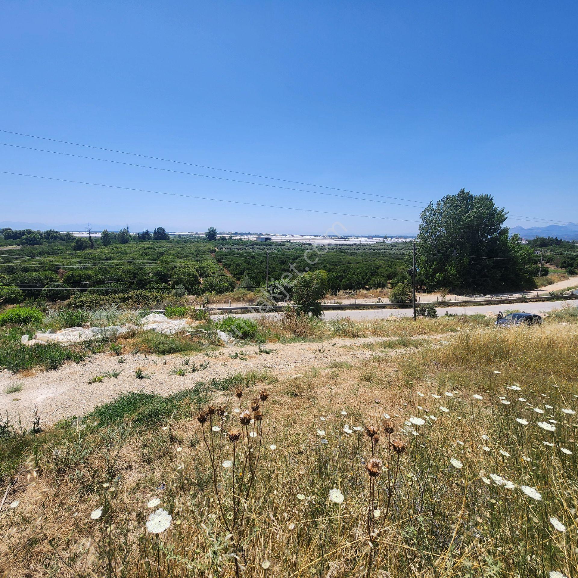 Antalya Manavgat Bereket Mah. 350 M2 İmarlı Satılık Villa Arsası - Görsel 7