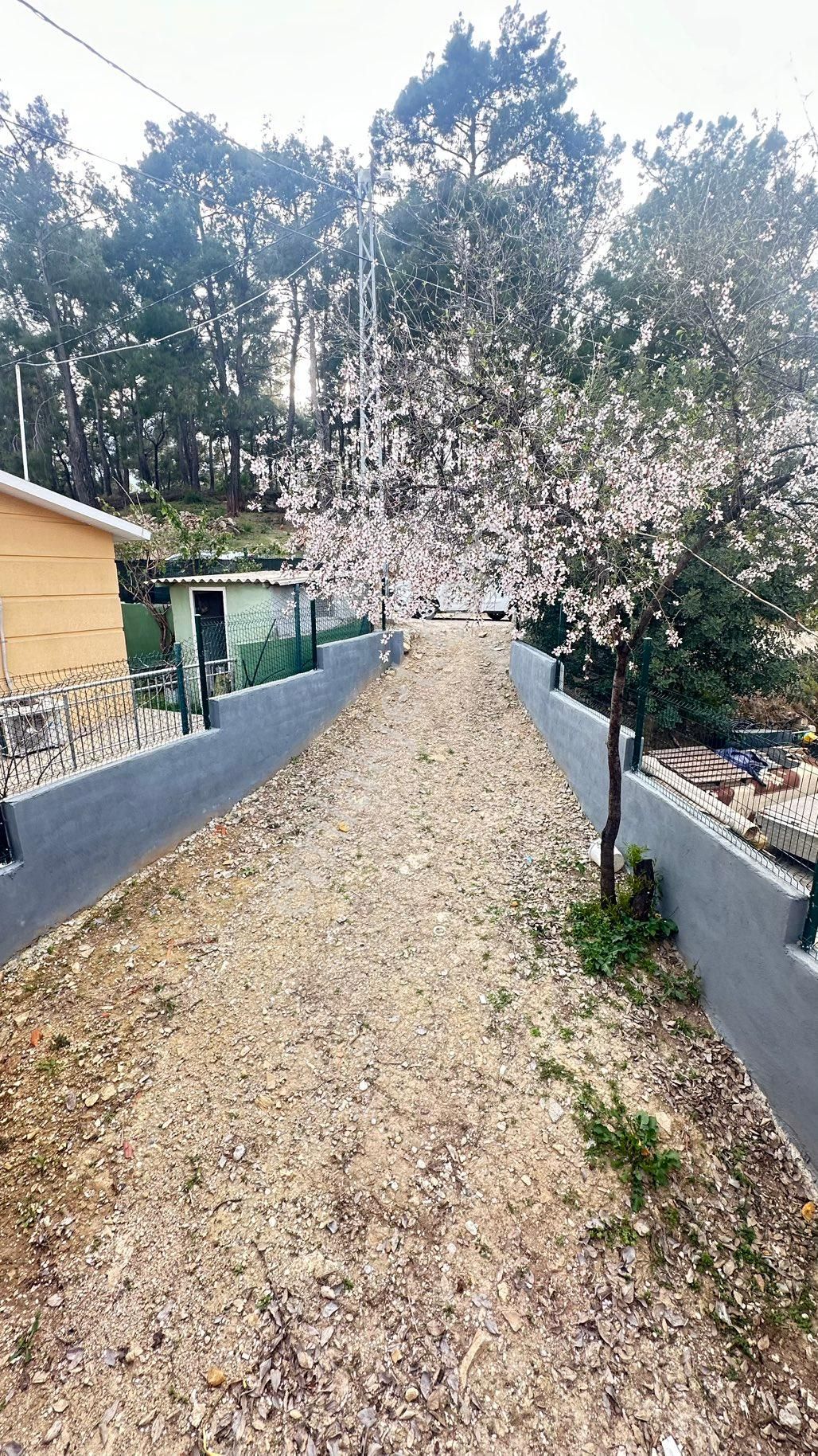 Konyaaltı Gökçam’da Doğa İçinde 305 Metre² Arsaya Sahip Müstakil Bungalov Ev - Görsel 13