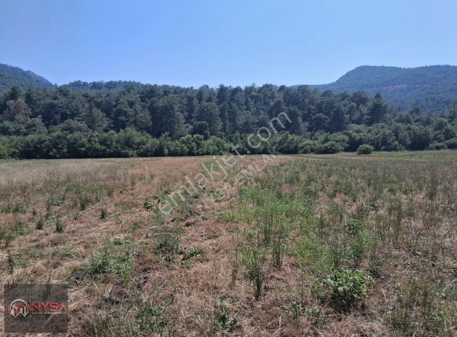 Nysa Emlak'tan 850 M2 Rızai Taksimli Satılık Tarla