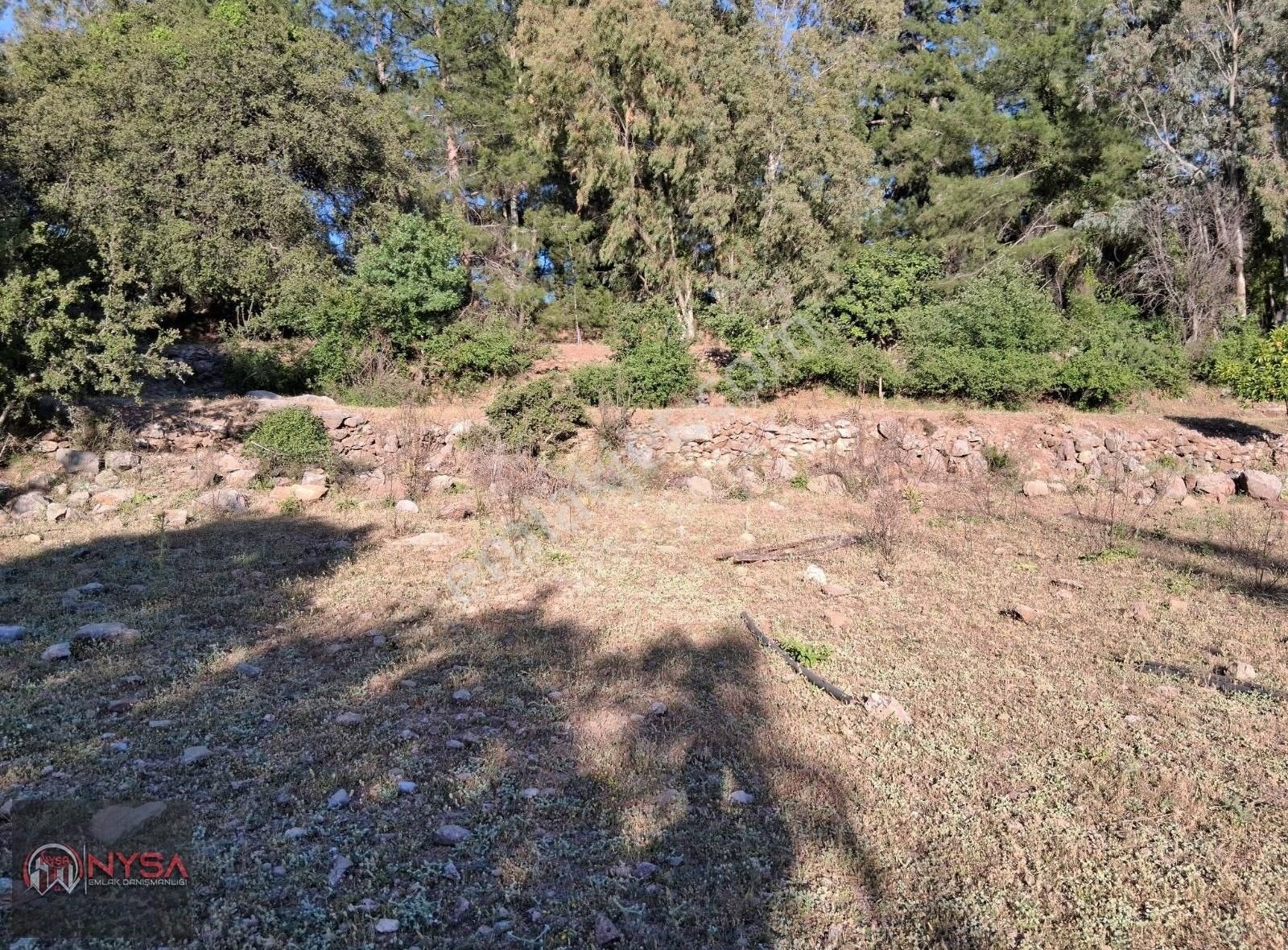 Nysa Emlak'tan Satılık 1068 M2 Hisseli Tarla