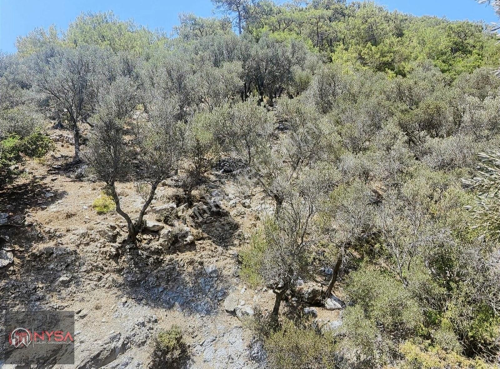 Nysa Emlak'tan Köyceğiz Çandır Mh Denize Sıfır 2.880 M2 2b Arazi