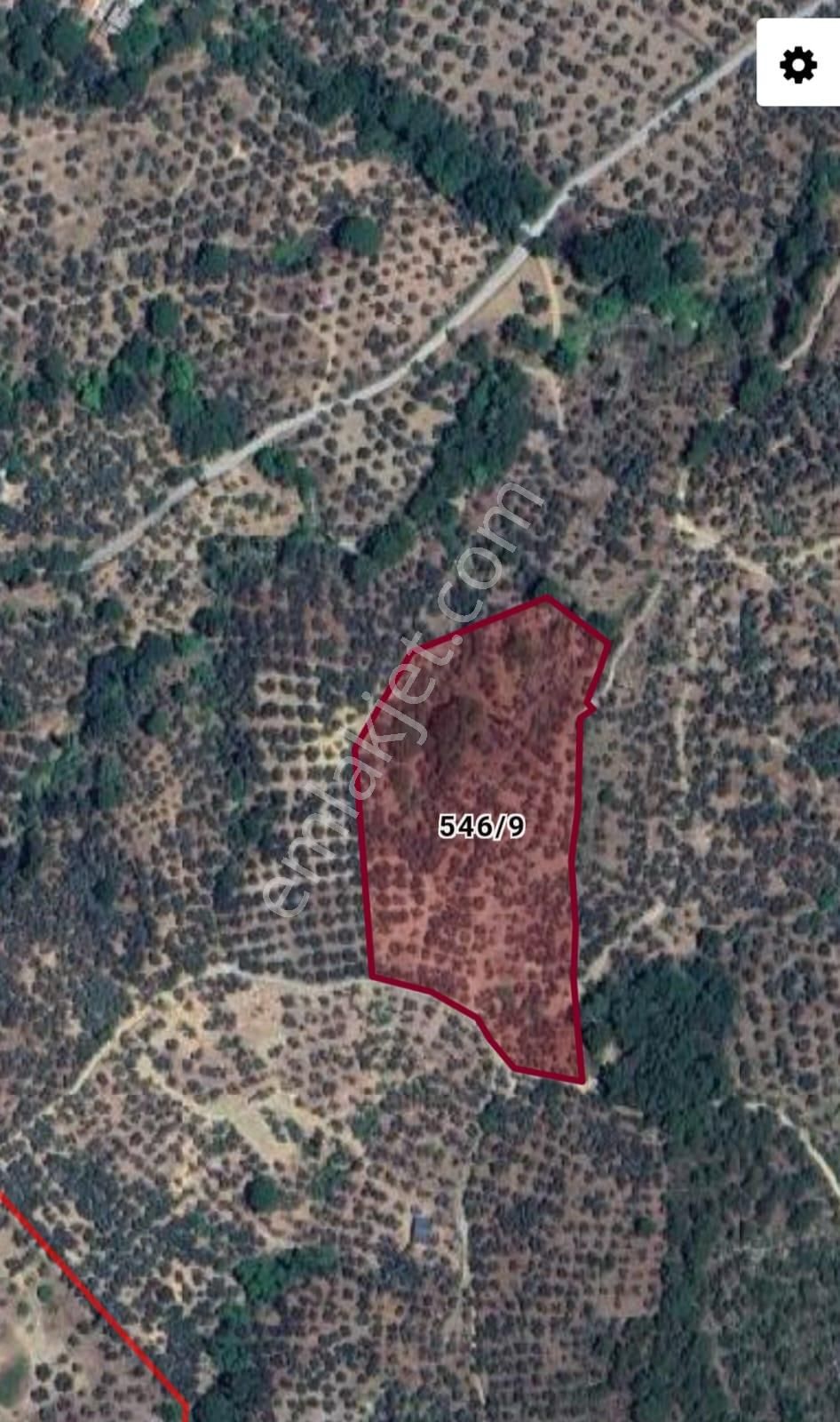Pak Yapı'dan Satılık Zeytinlik 14.652m2 Güre Mah.
