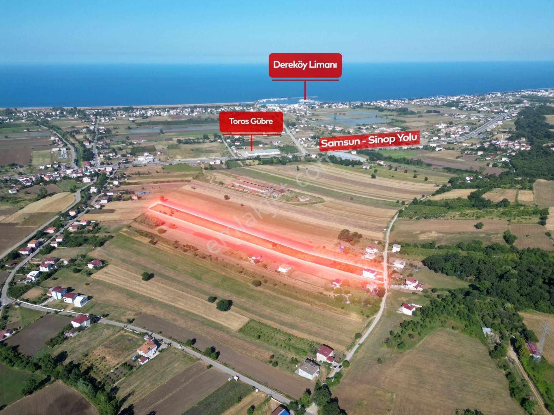 Deneyim'den 19 Mayıs Kertme'de 11.659 M2 Arazi + 2 Katlı Yazlık