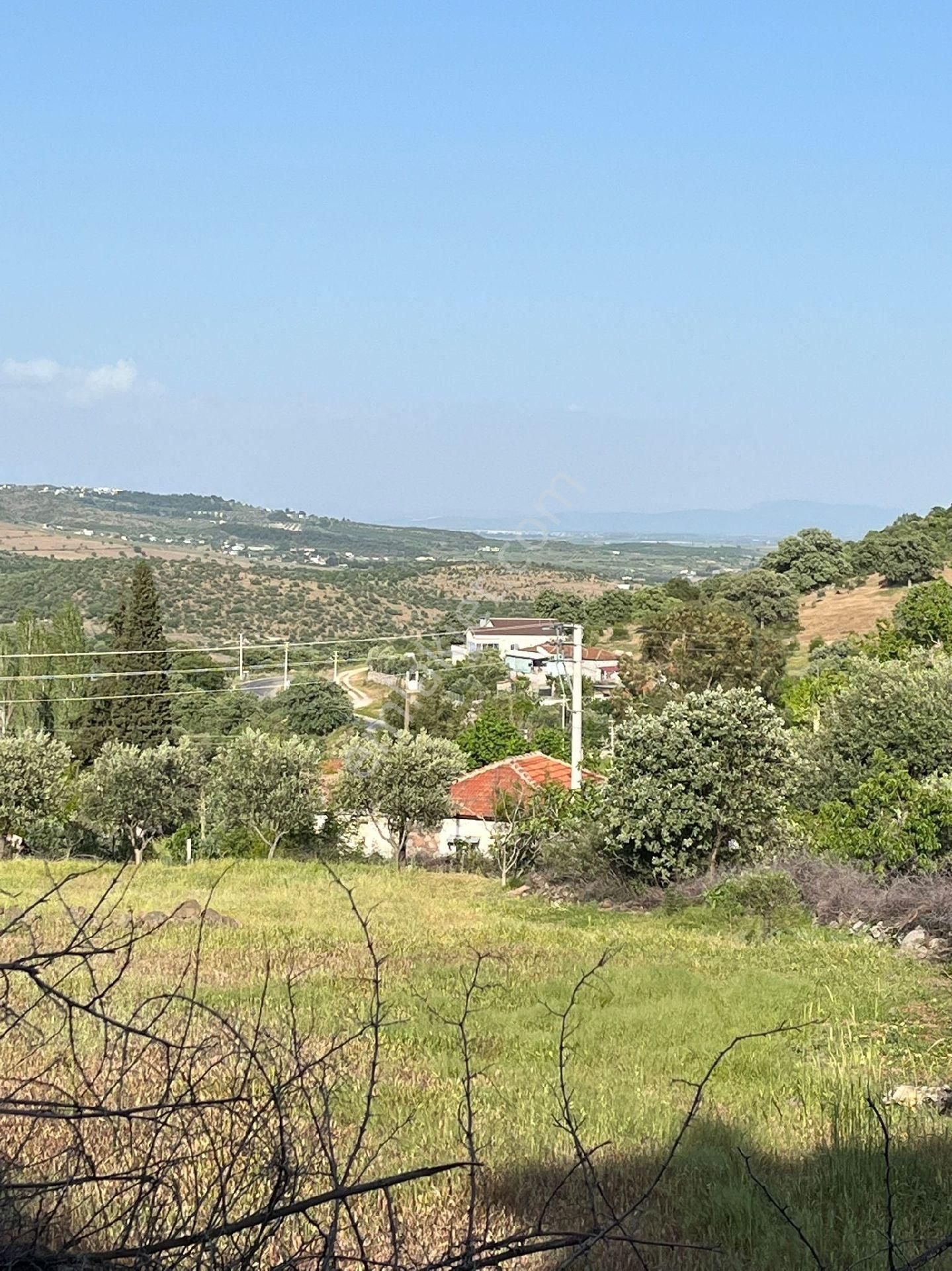 Satılık İmarlı Arsa Manisa Yunusemre Bostanlar Köyünde