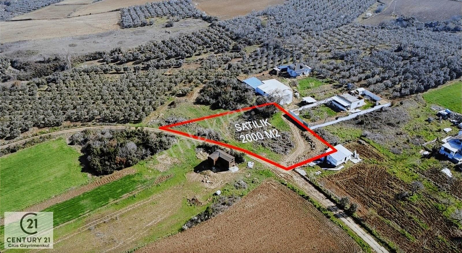 C21 Cius; Mudanya Söğütpınar Mah. 2000 M2 Satılık Tarla