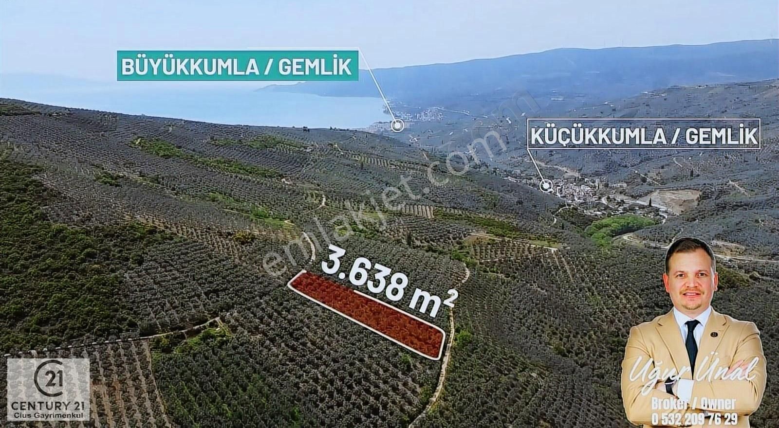 C21 Cius; Çift Resmi Yola Cephe 3.638m2 Doğayla İç İçe Zeytinlik