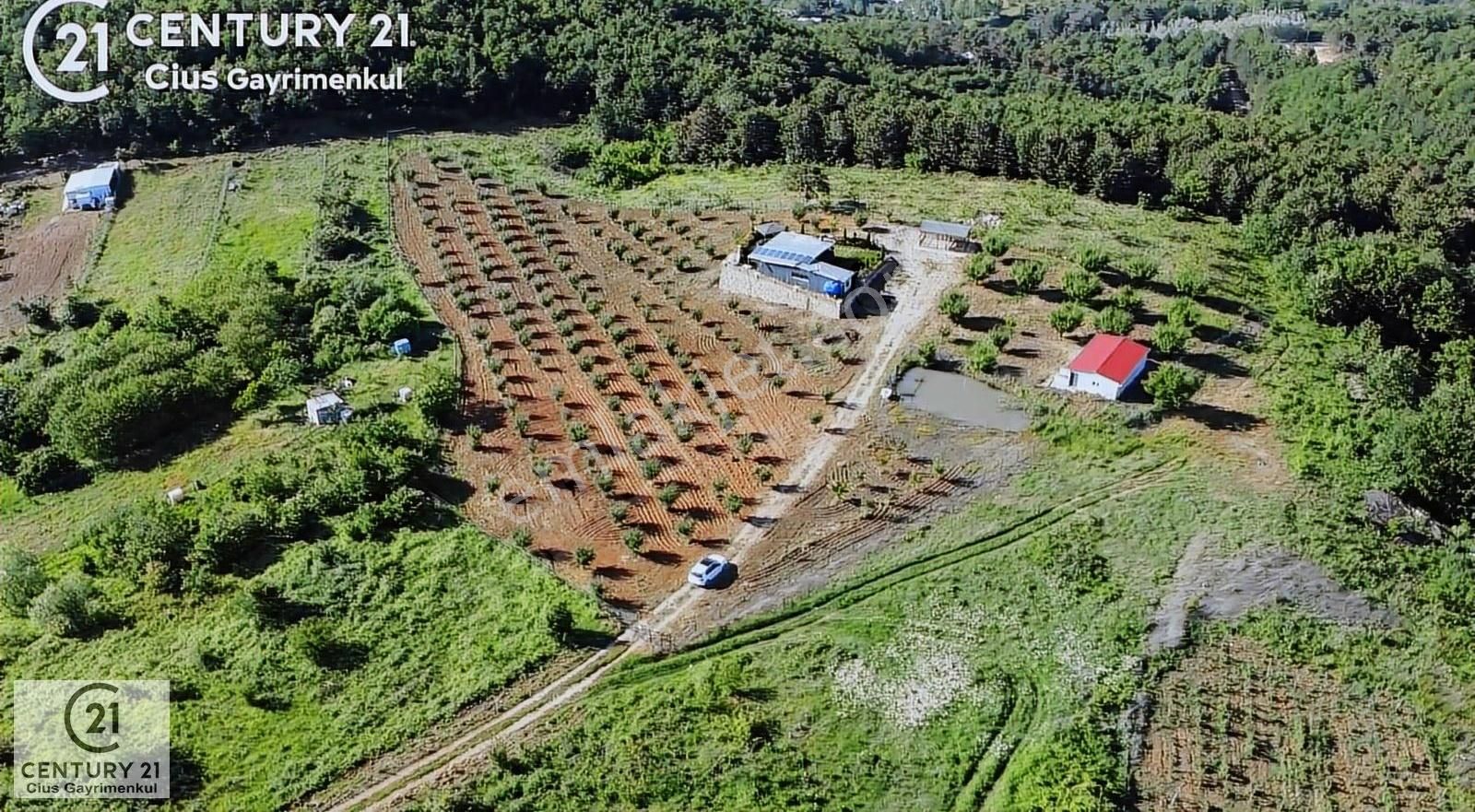 C21 Cius; Kestel Lütfiye'de Satılık 7168 M2 Hobi Bahçesi