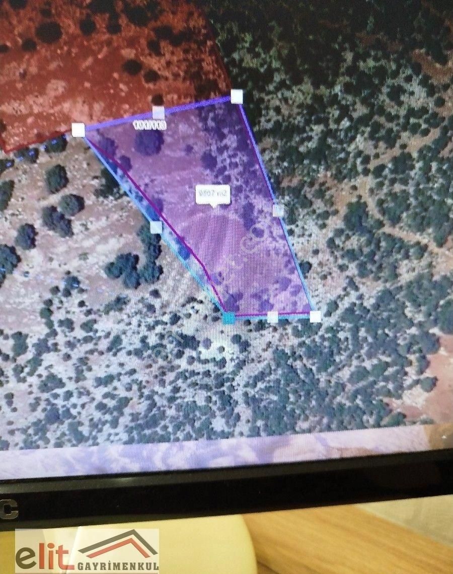 Elit Gayrimenkul Den Demre Gürses De Deniz Manzaralı Satılık Tarla