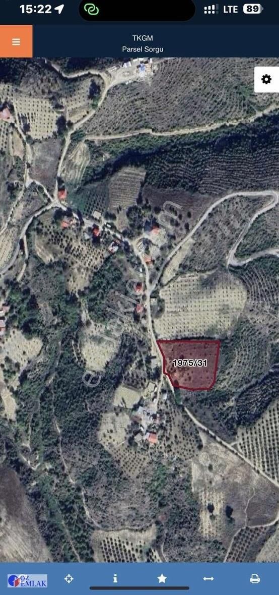 Kozan Karahamzalı Da