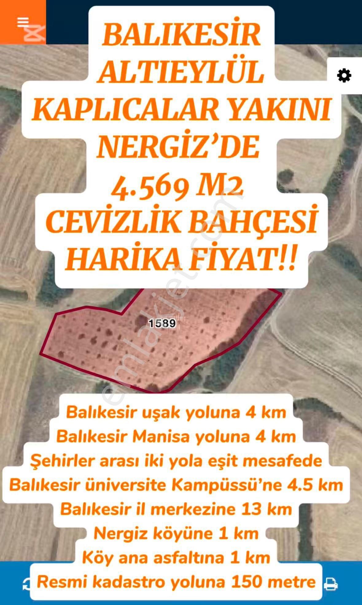 🏡 Balıkesir Altıeylül’de Kaplıca Bölgesi Nergiz’de Köye Yakın Cevizlik Bahçesi!