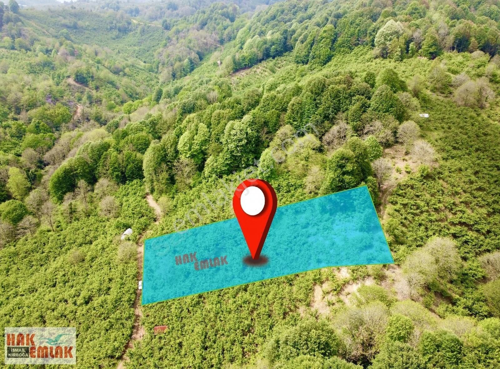 Hak Emlak'tan Dokuzpınar Mah.de Satılık 2.712 M² Fırsat Bahçe