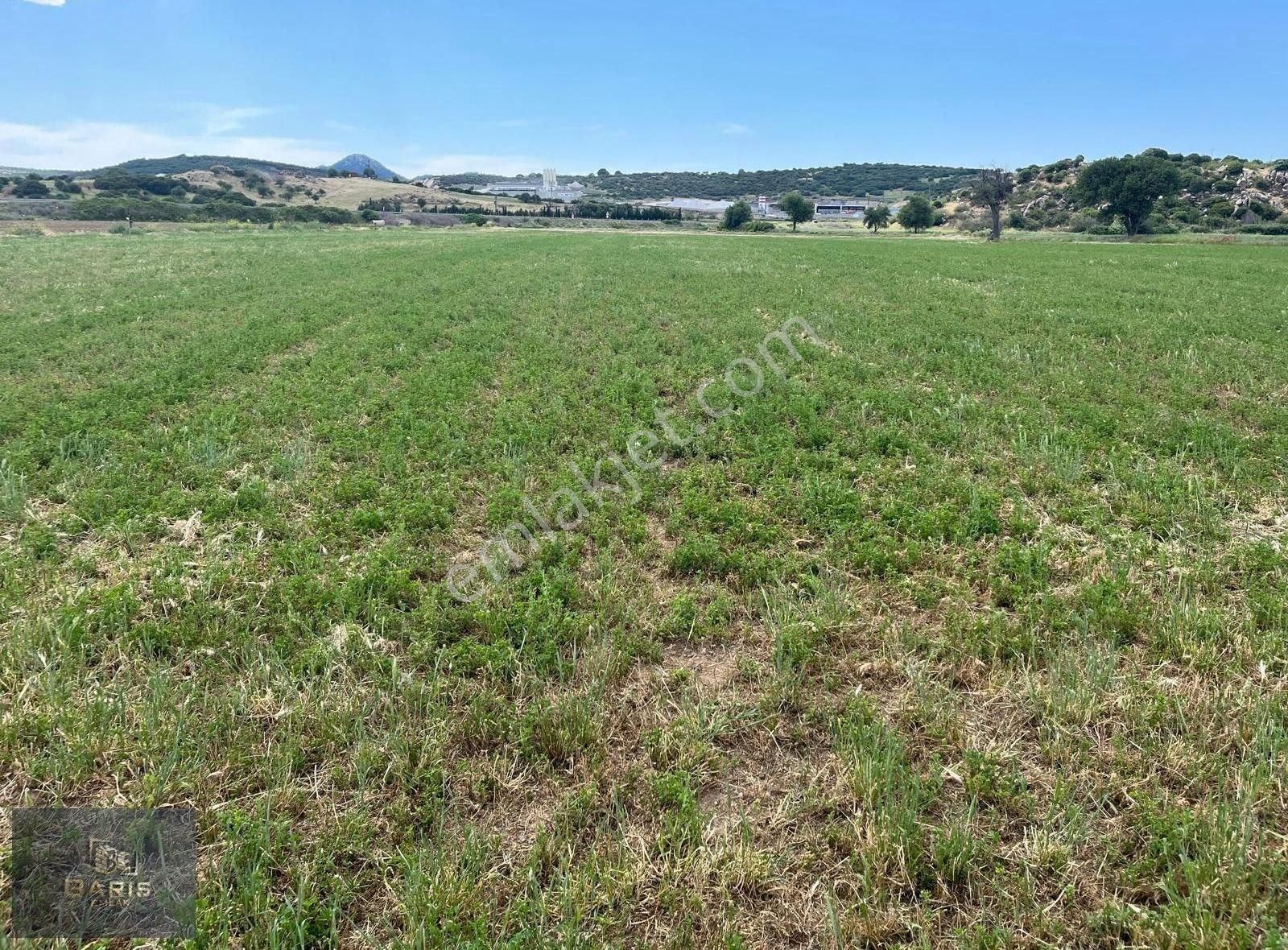 Çanakkale Ezine Merkeze Yakın Satılık Kupon Tarla - Görsel 2